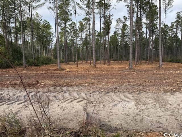 5.73 Acs Kates Bay Hwy. Property Photo 2