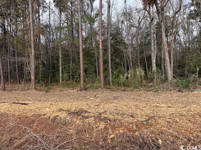 7.39 Acs Kates Bay Hwy. Property Photo 4