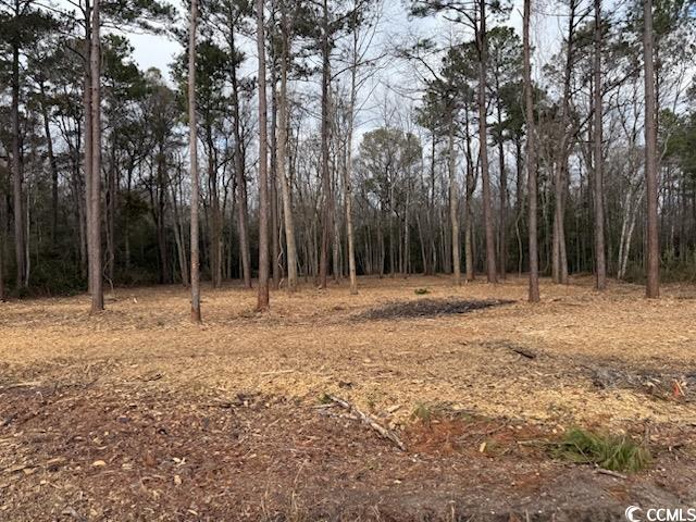 9.33 Acs Kates Bay Hwy. Property Photo