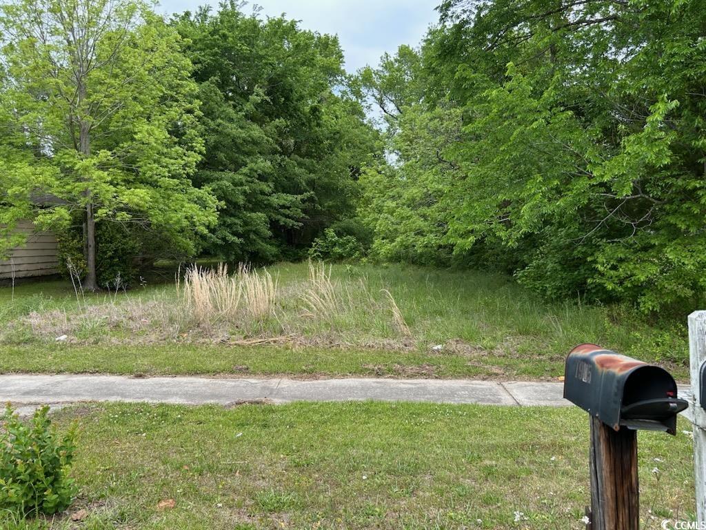 Tbd Emanuel St. Property Photo