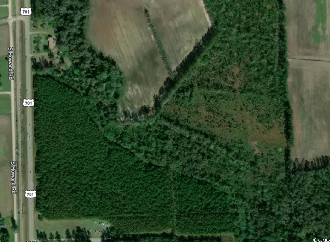 Tbd100 Highway 701 North Property Photo 5