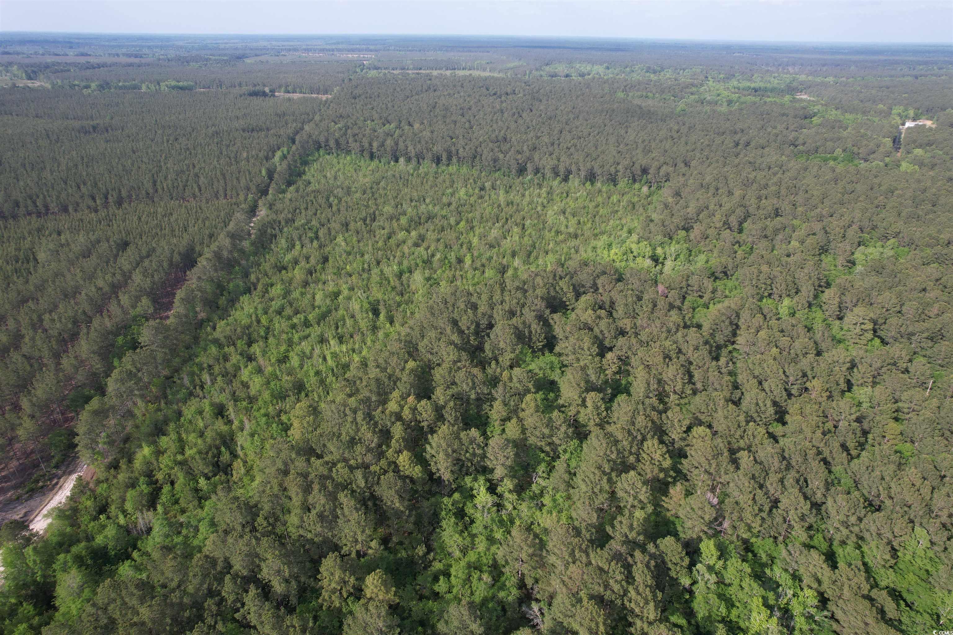24.71 Acres-tbd Old Forreston Rd. Property Photo 2