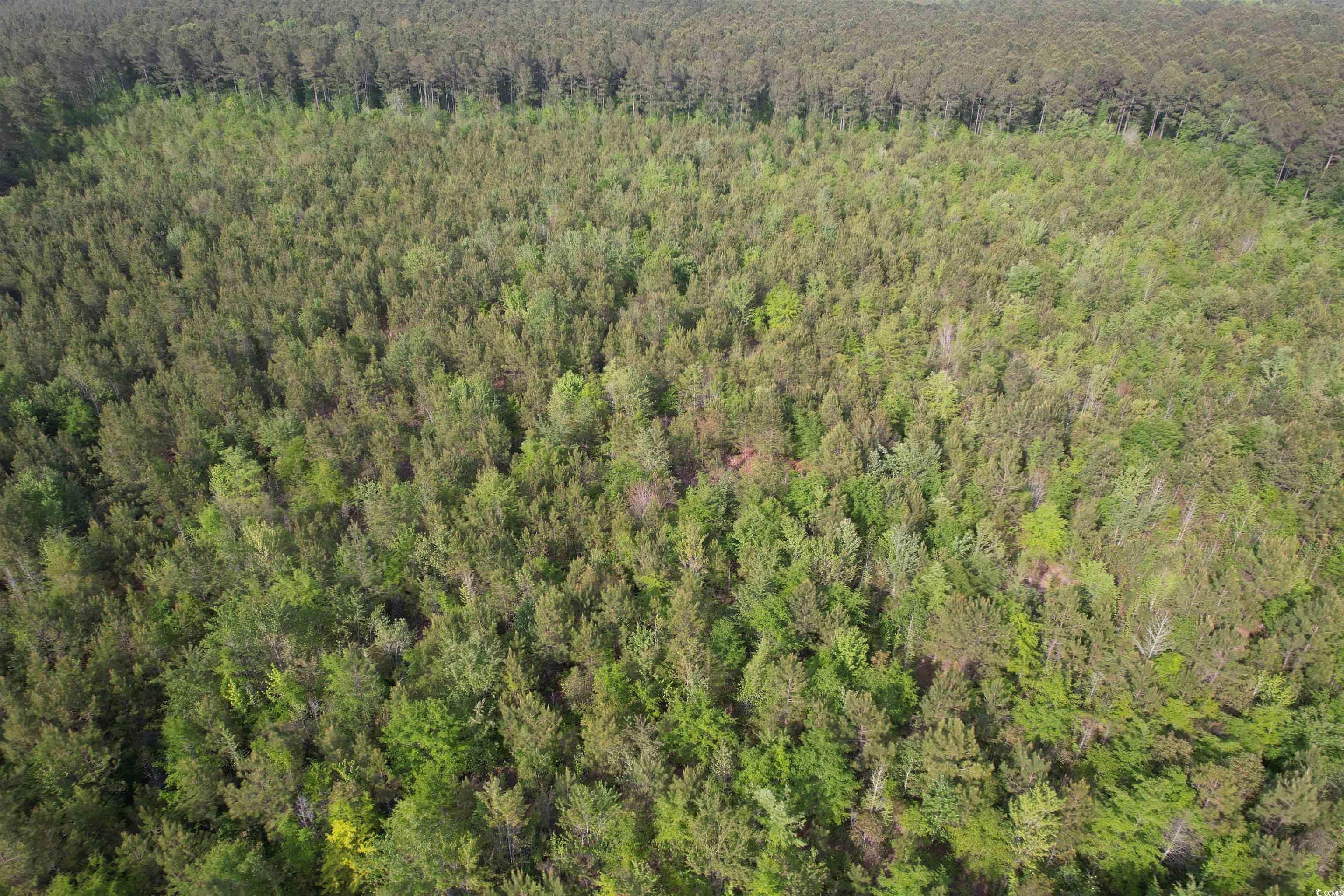 24.71 Acres-tbd Old Forreston Rd. Property Photo 3