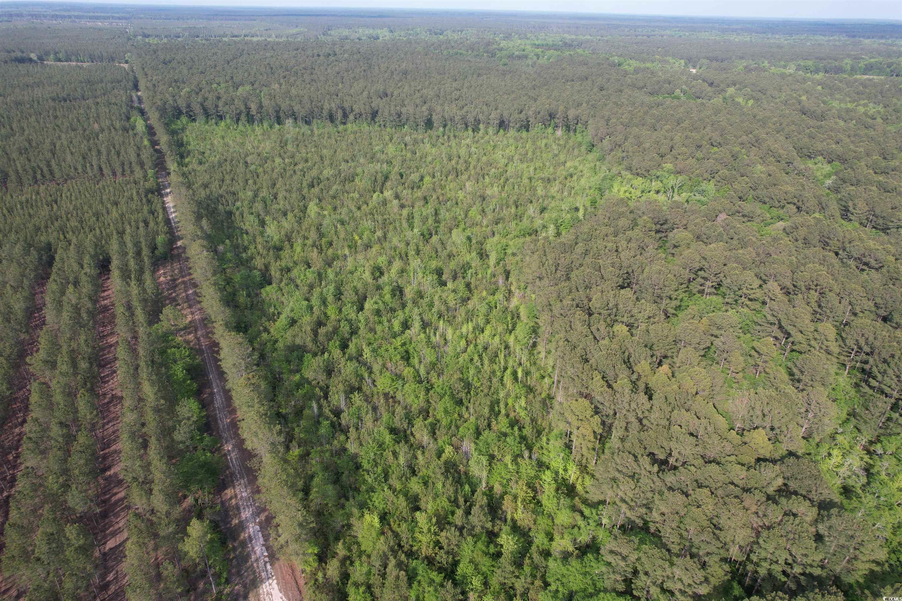 24.71 Acres-tbd Old Forreston Rd. Property Photo 4