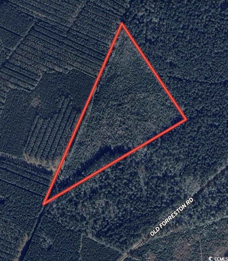 24.71 Acres-tbd Old Forreston Rd. Property Photo 5