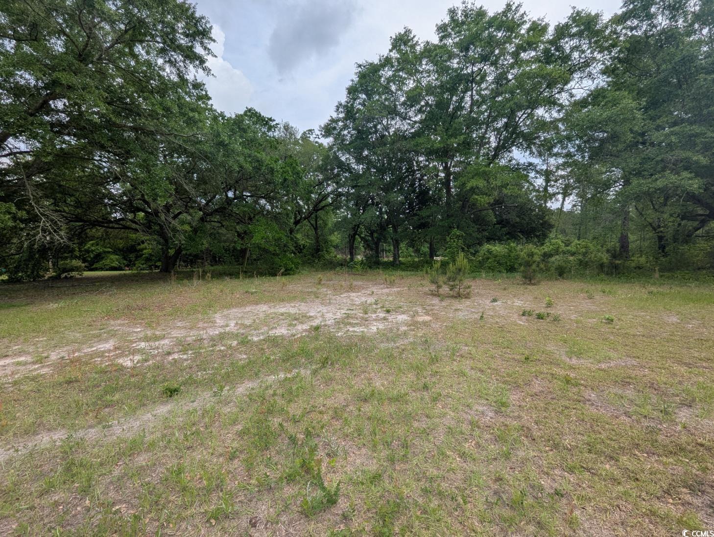 450 Hayfield Rd. Property Photo 4