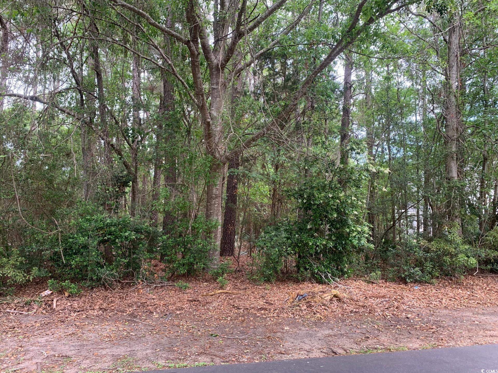 159 Sanderling Ave. Property Photo