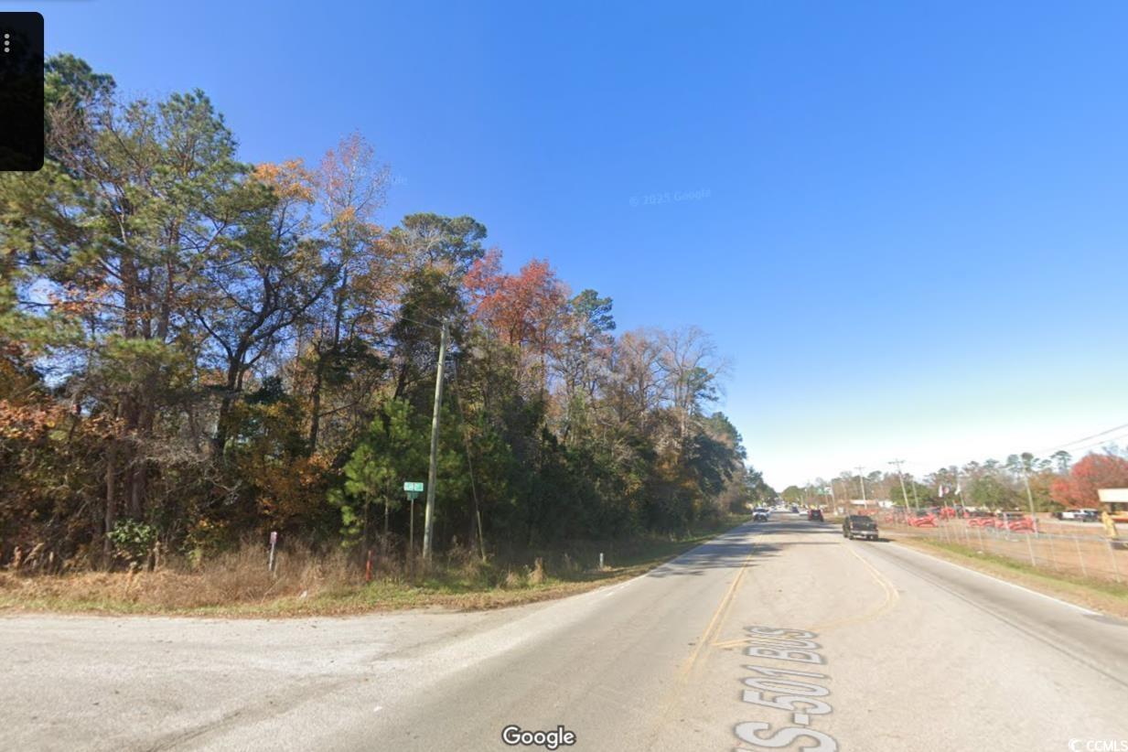 Tbd1150 Highway 501 Business Property Photo 3