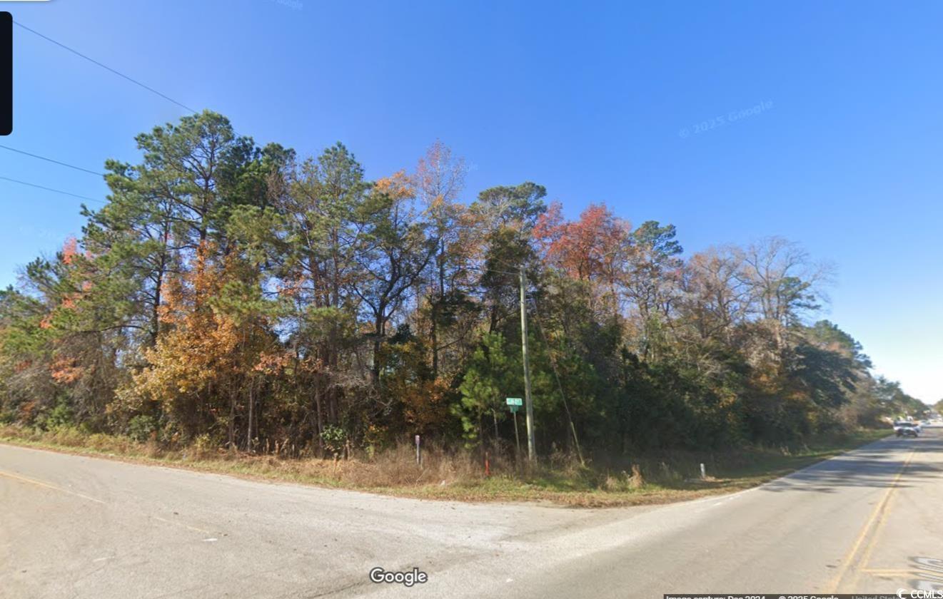 Tbd1150 Highway 501 Business Property Photo 4