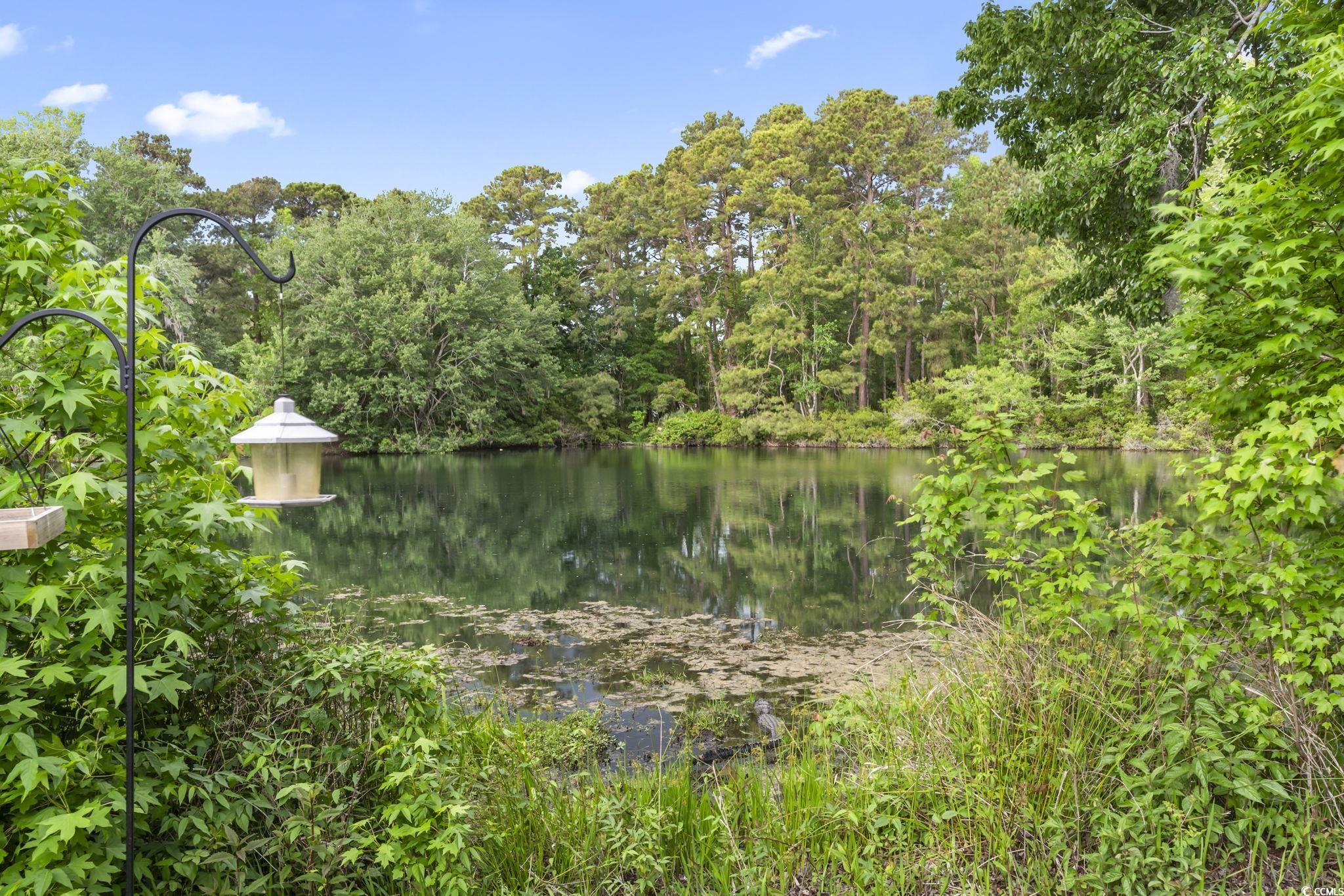 86 Beaver Pond Loop Property Photo 28
