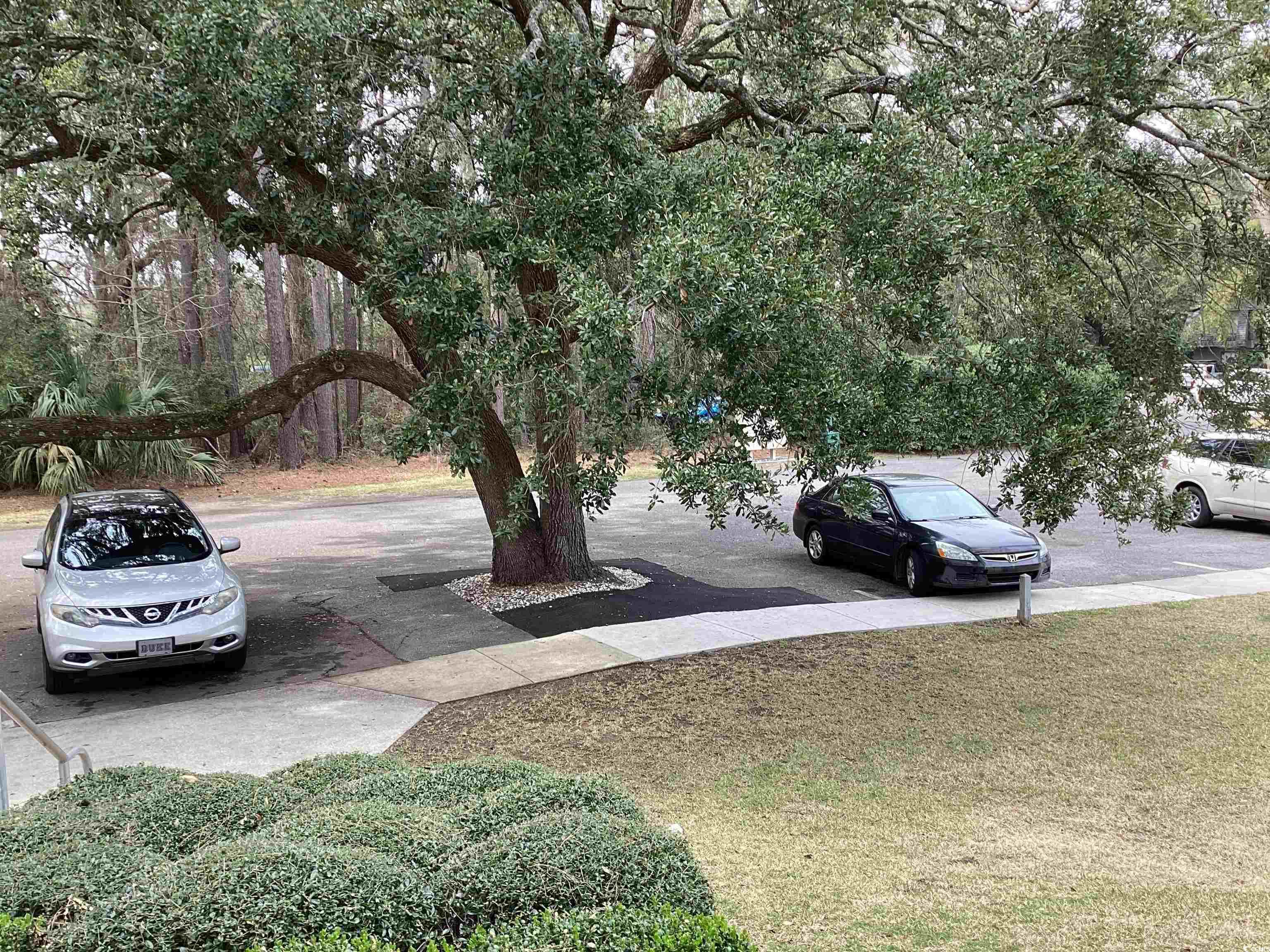 409 Salt Marsh Circle Property Photo 4