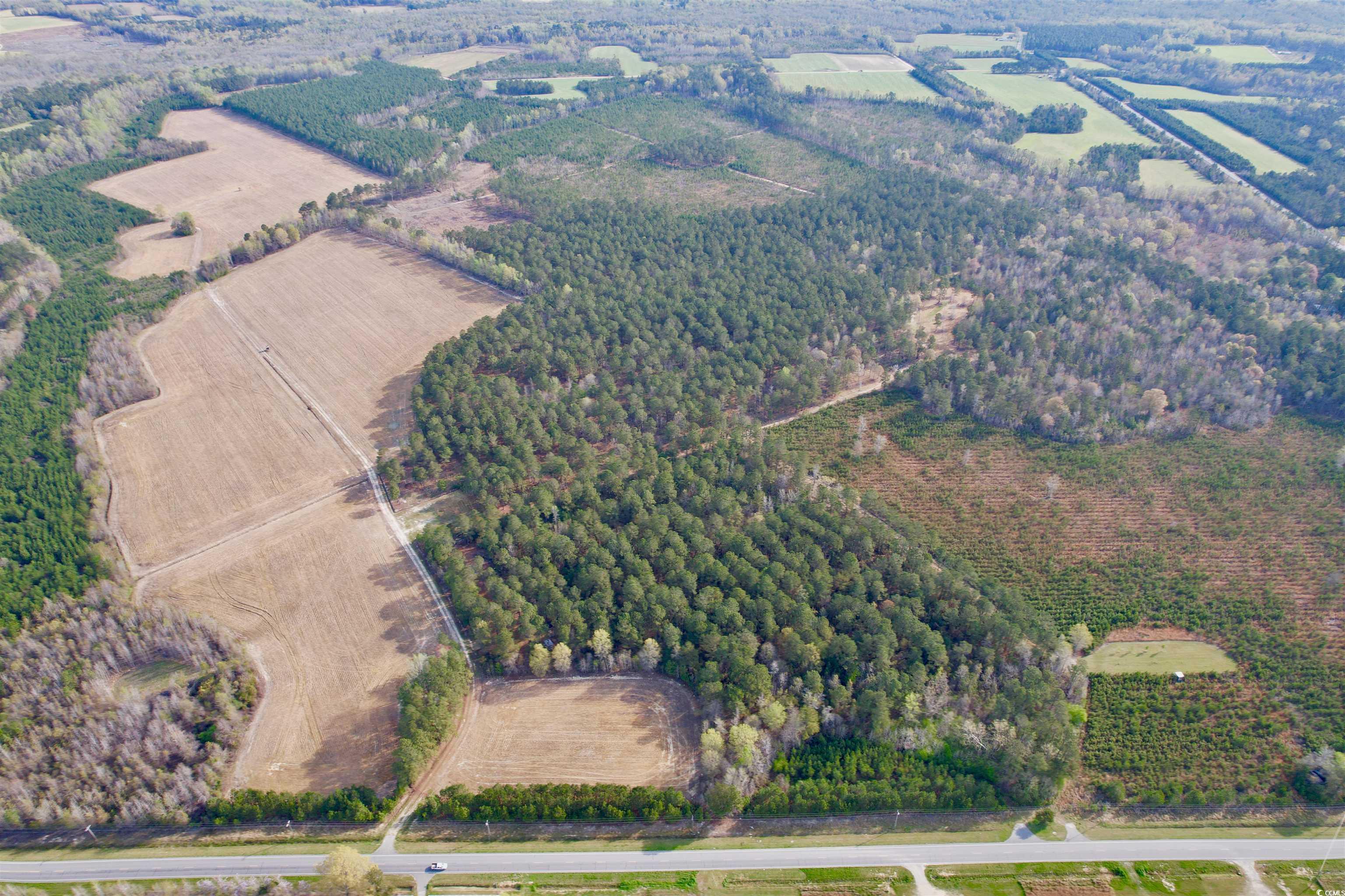 1339 Johnsonville Hwy. Property Photo