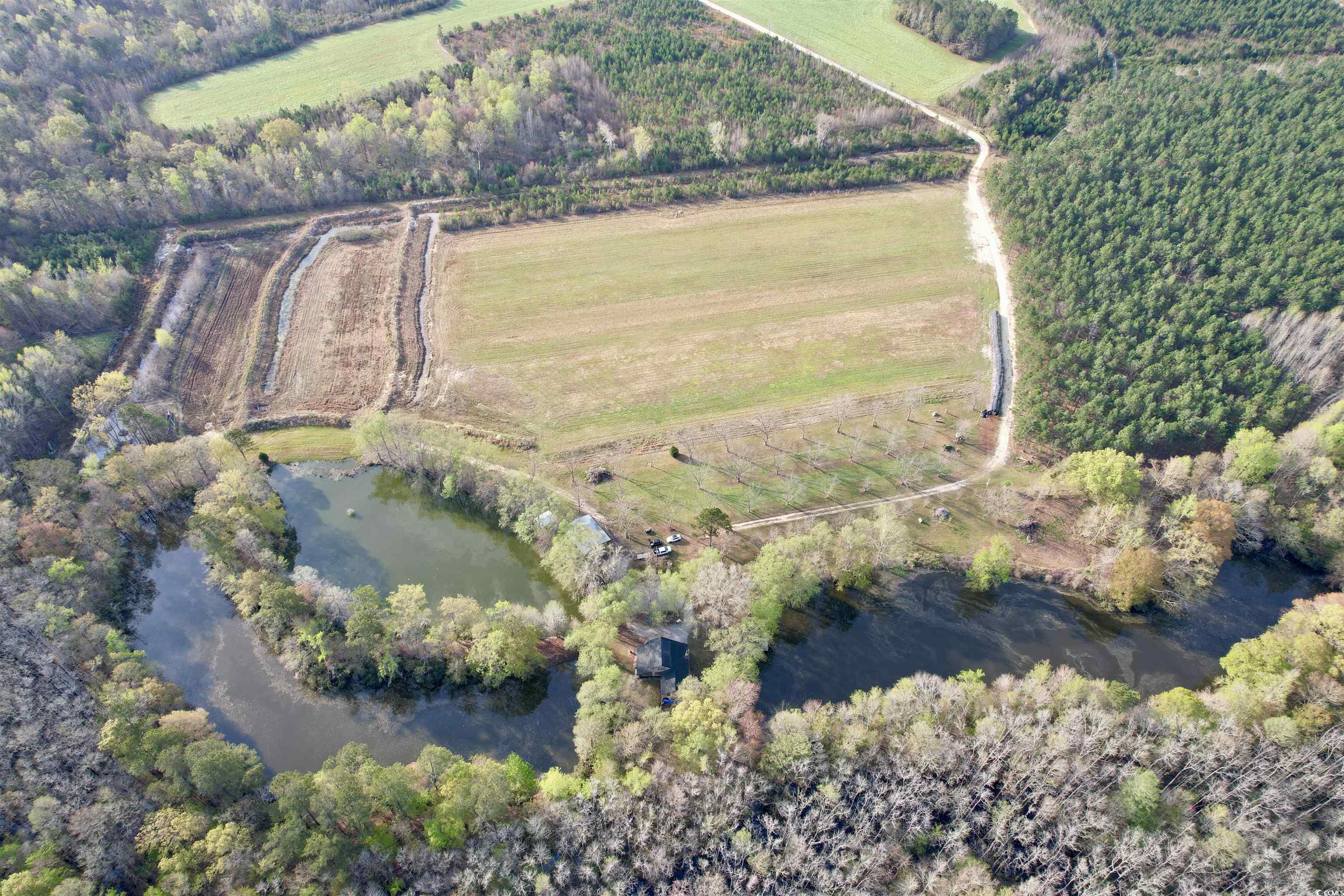 1339 Johnsonville Hwy. Property Photo 3