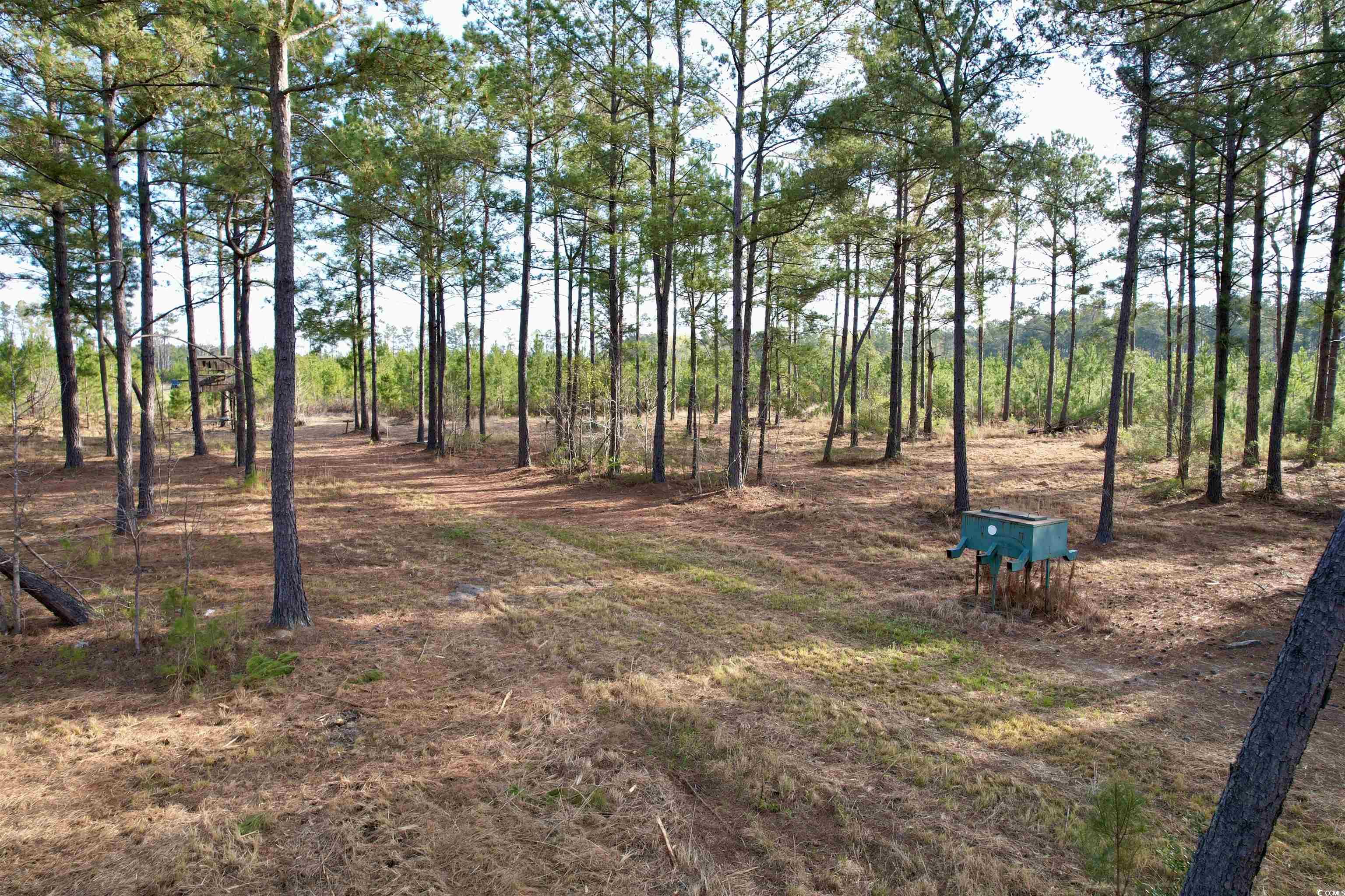 1339 Johnsonville Hwy. Property Photo 8