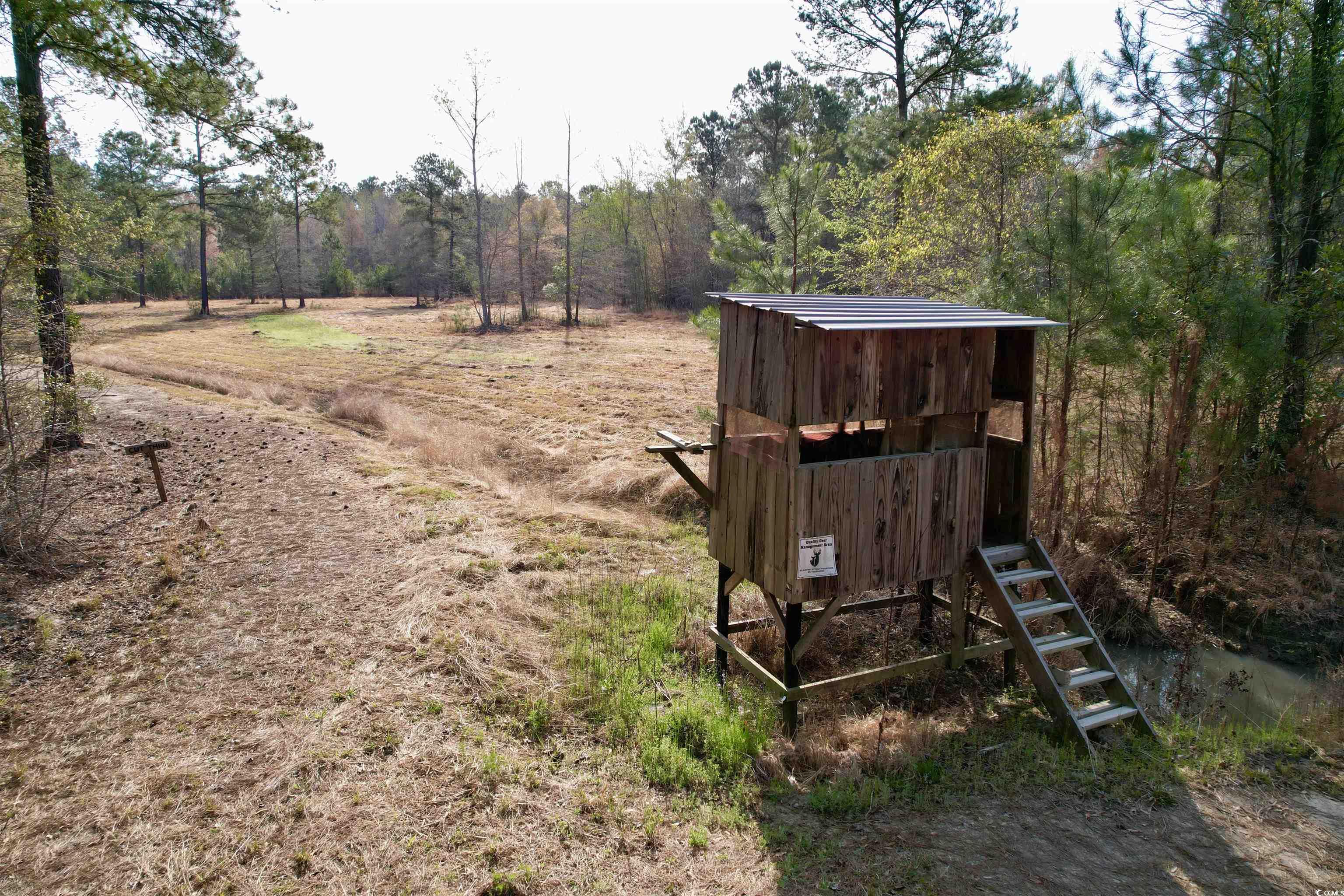 1339 Johnsonville Hwy. Property Photo 9