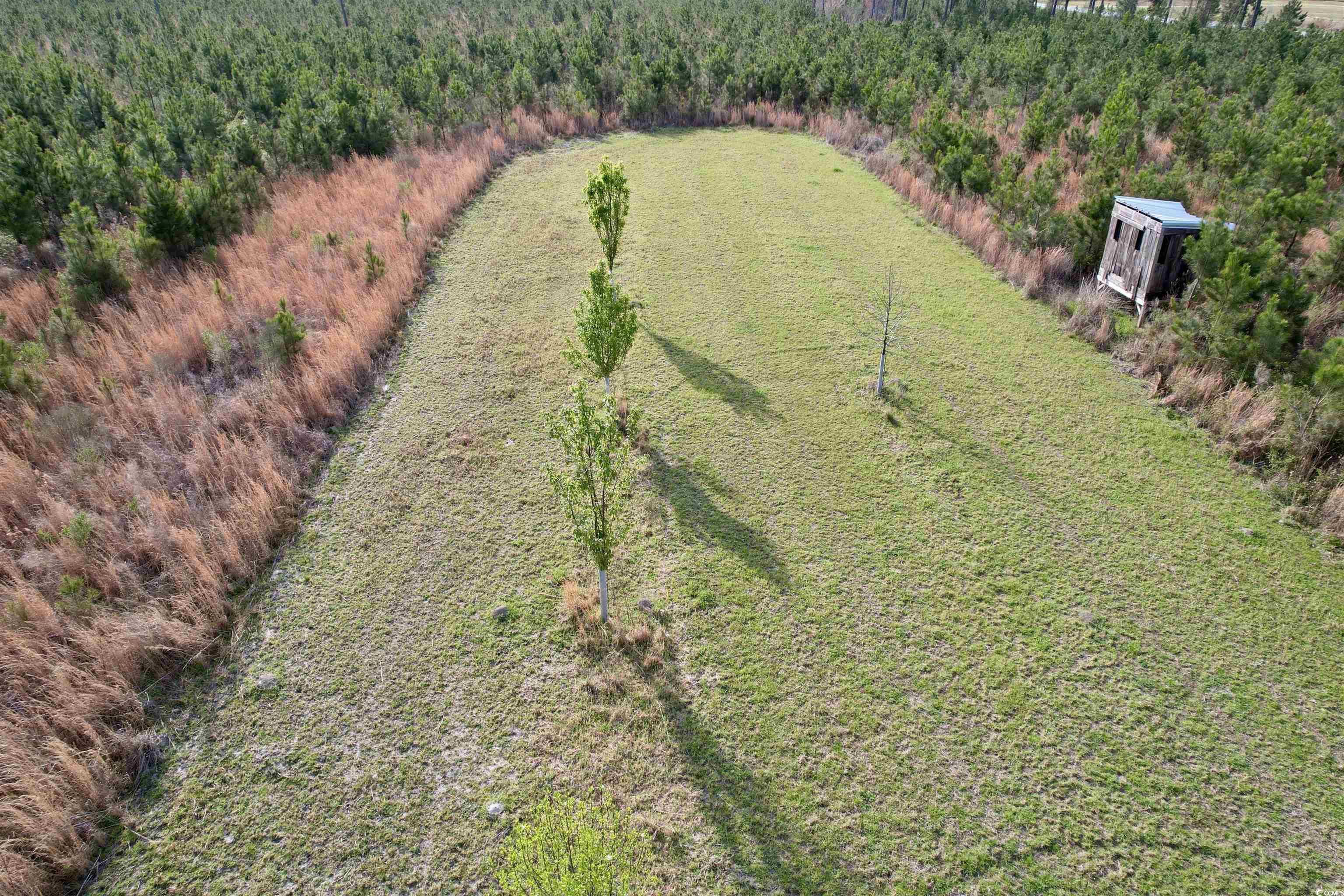 1339 Johnsonville Hwy. Property Photo 11