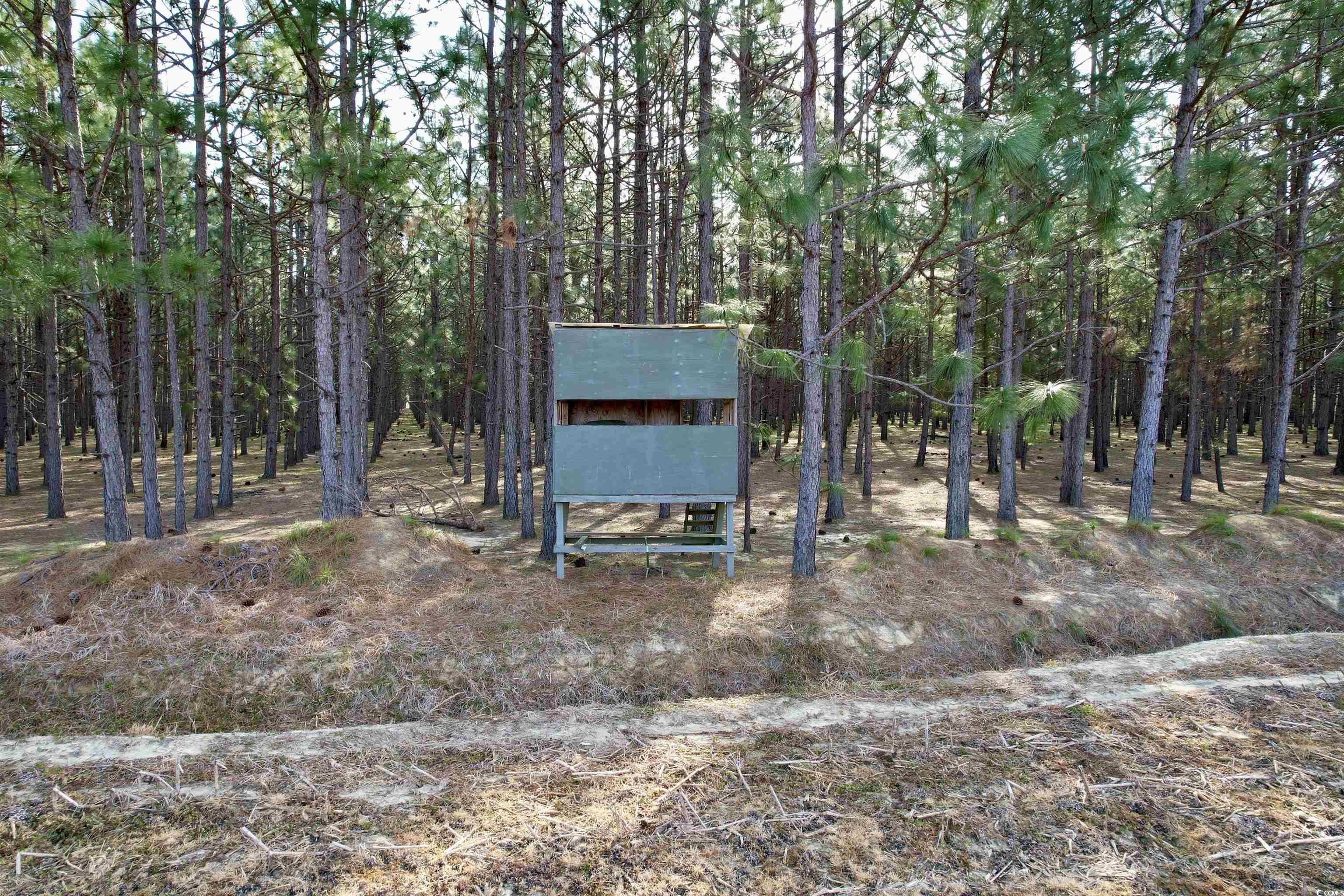 1339 Johnsonville Hwy. Property Photo 16