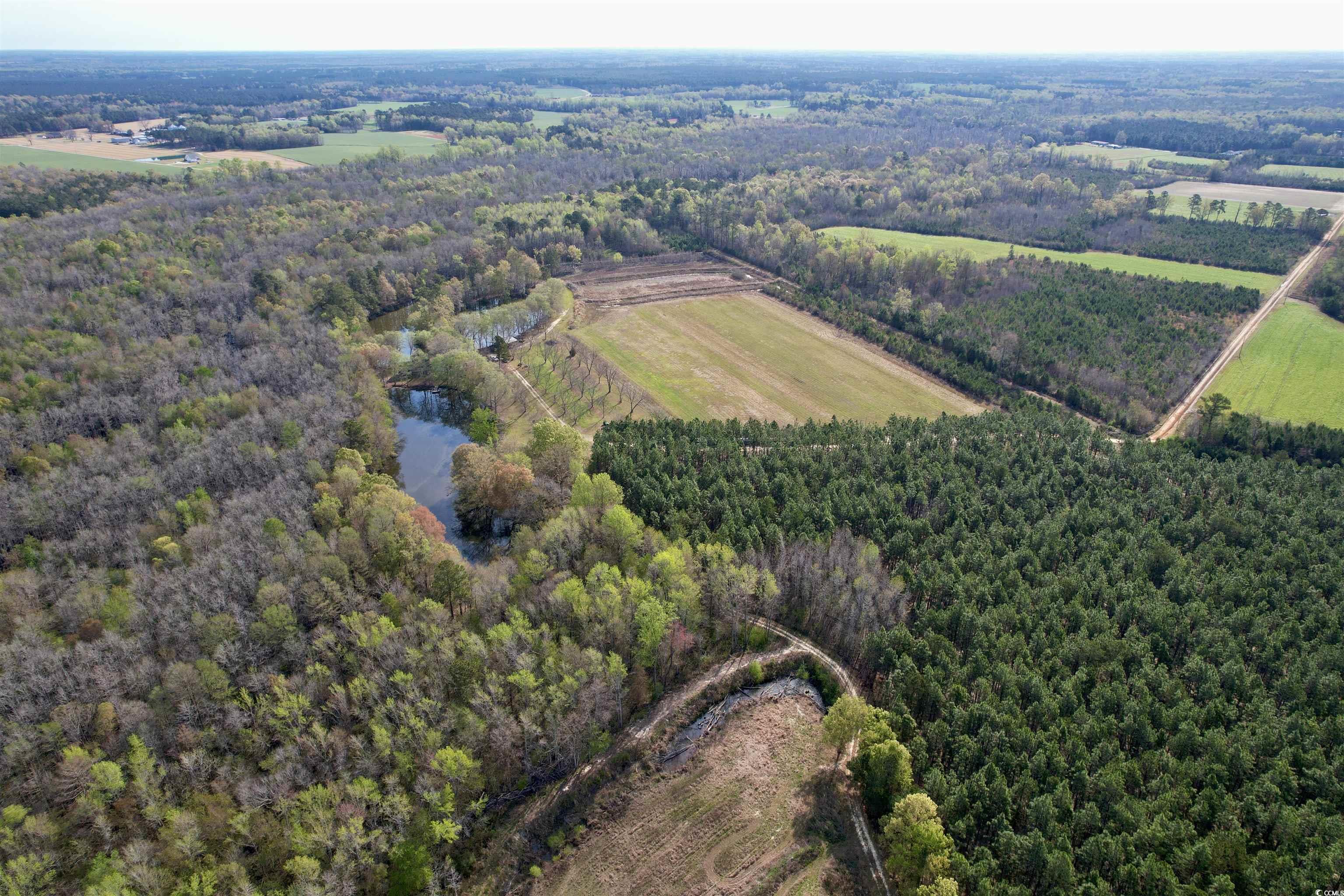 1339 Johnsonville Hwy. Property Photo 18
