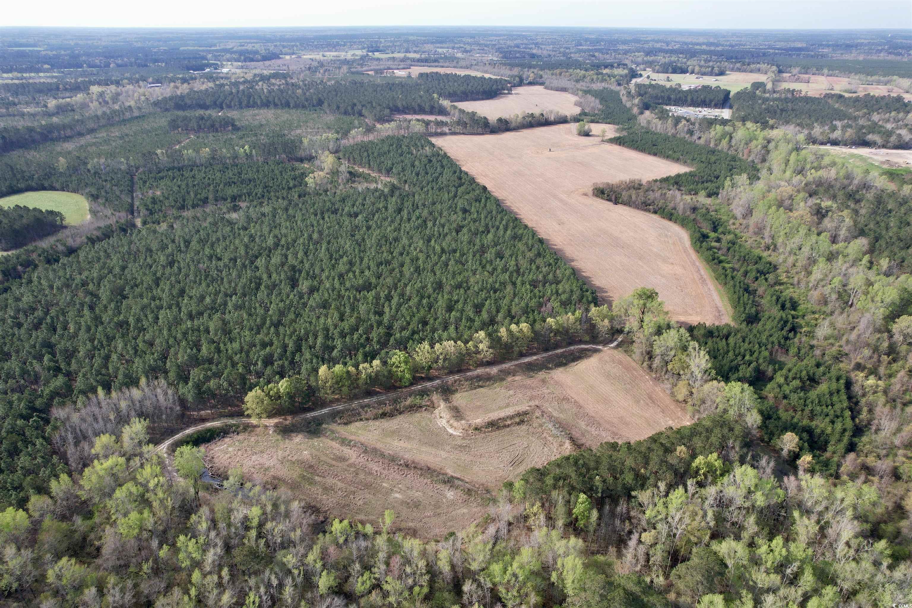 1339 Johnsonville Hwy. Property Photo 19