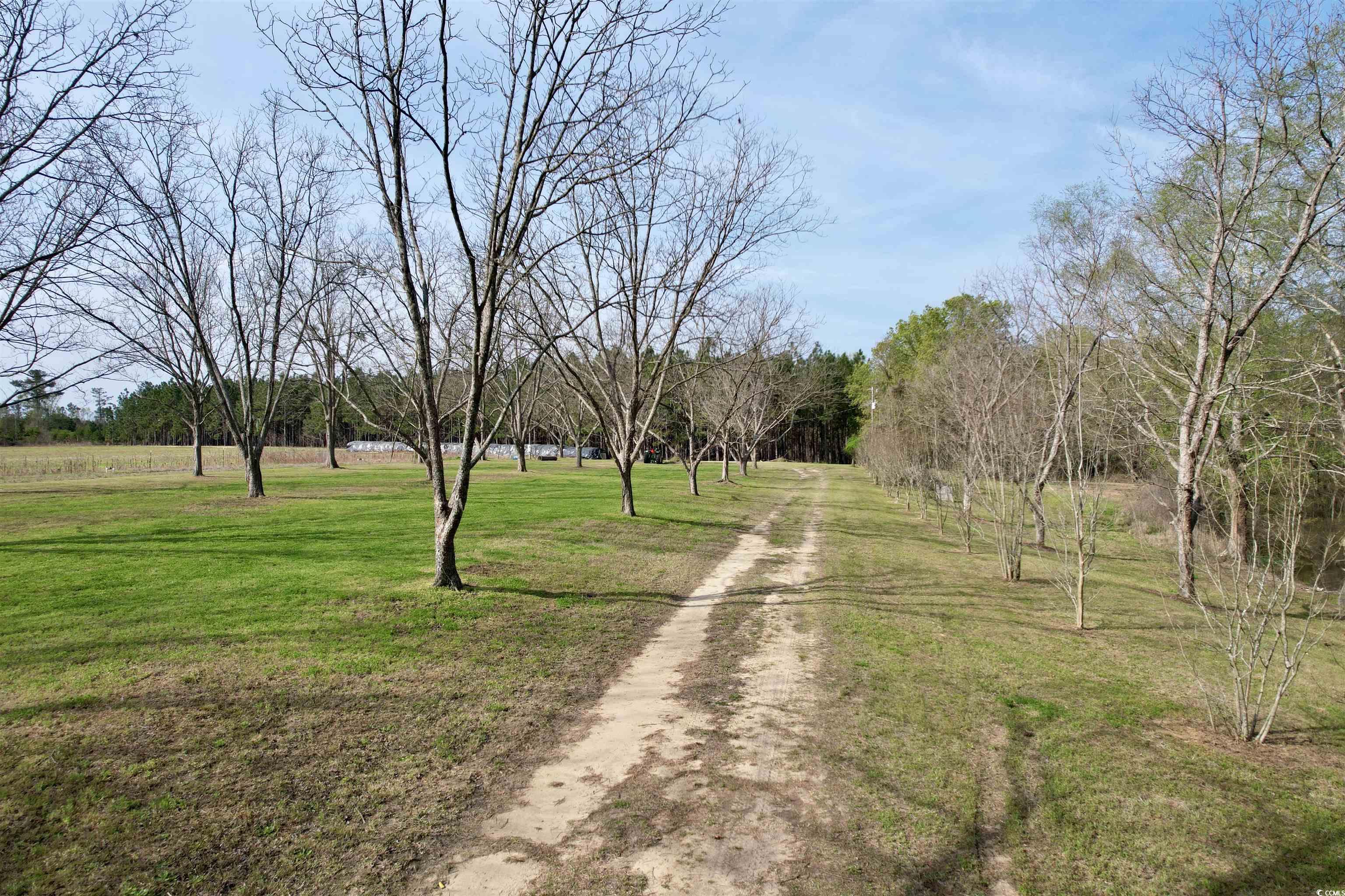 1339 Johnsonville Hwy. Property Photo 20
