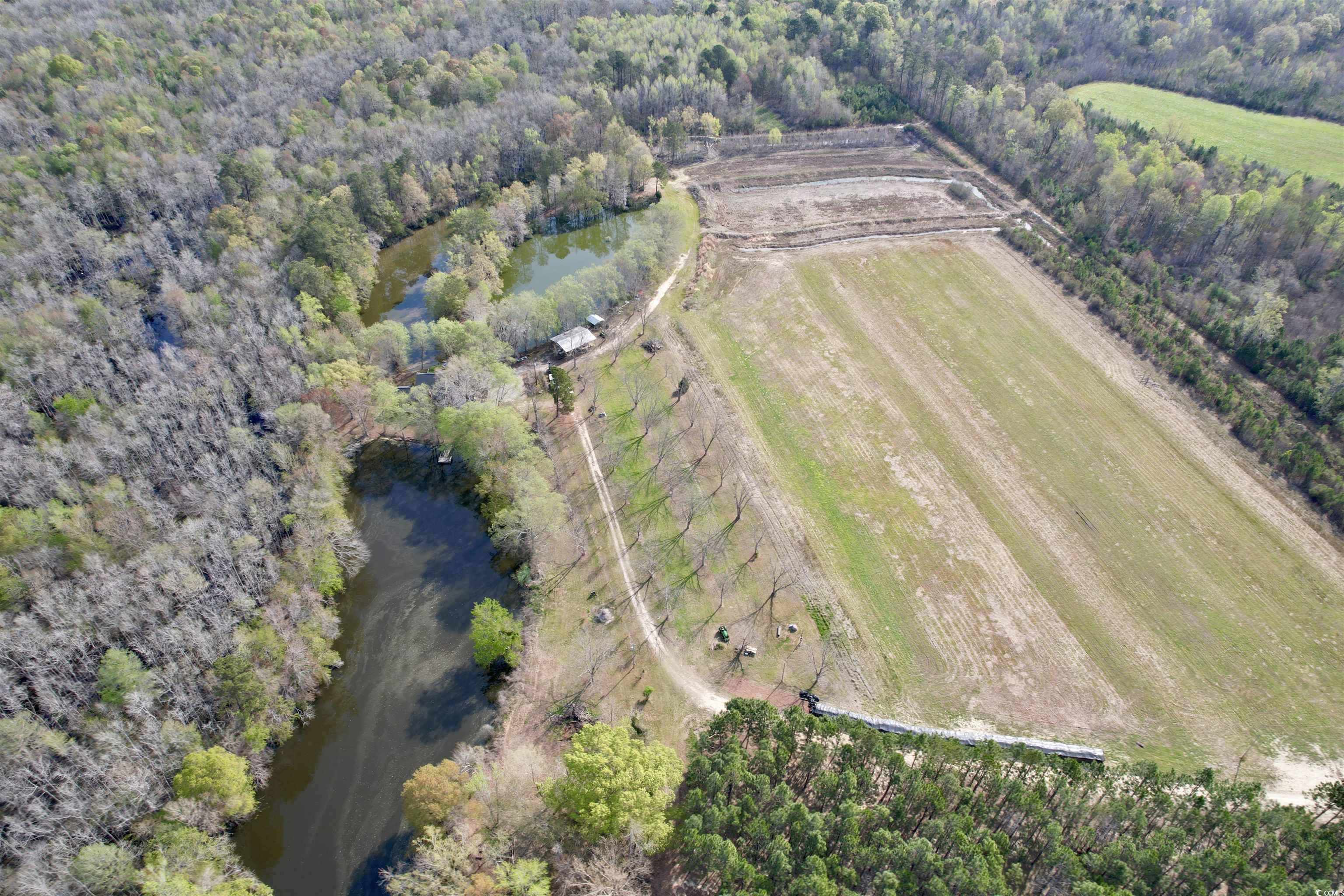 1339 Johnsonville Hwy. Property Photo 23