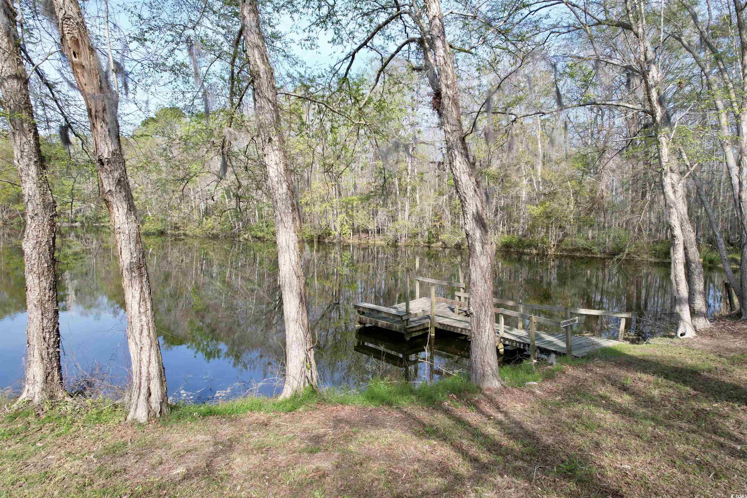 1339 Johnsonville Hwy. Property Photo 35