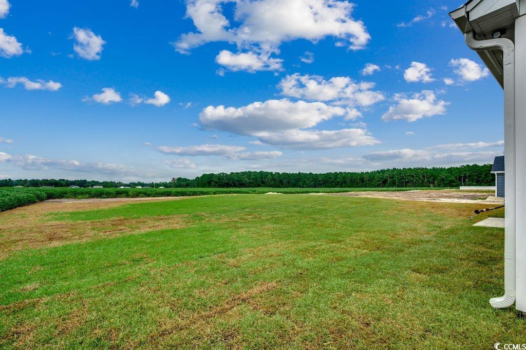 4959 Dupont Rd. Property Photo 28