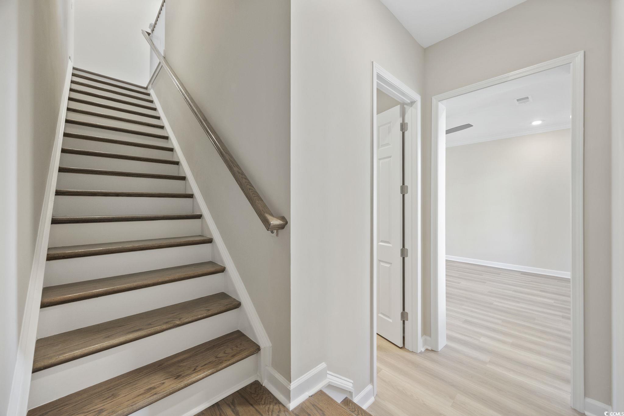 2800 Cook Circle Property Photo 11