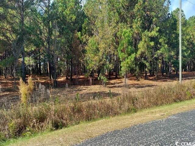 3029 Fowler Rd. Property Photo