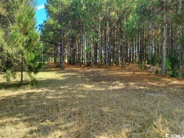 3025 Fowler Rd. Property Photo