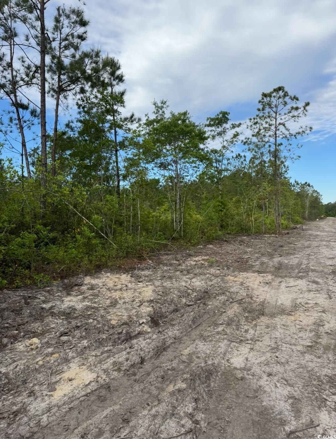 Tbd Fowler School Rd. Property Photo 1