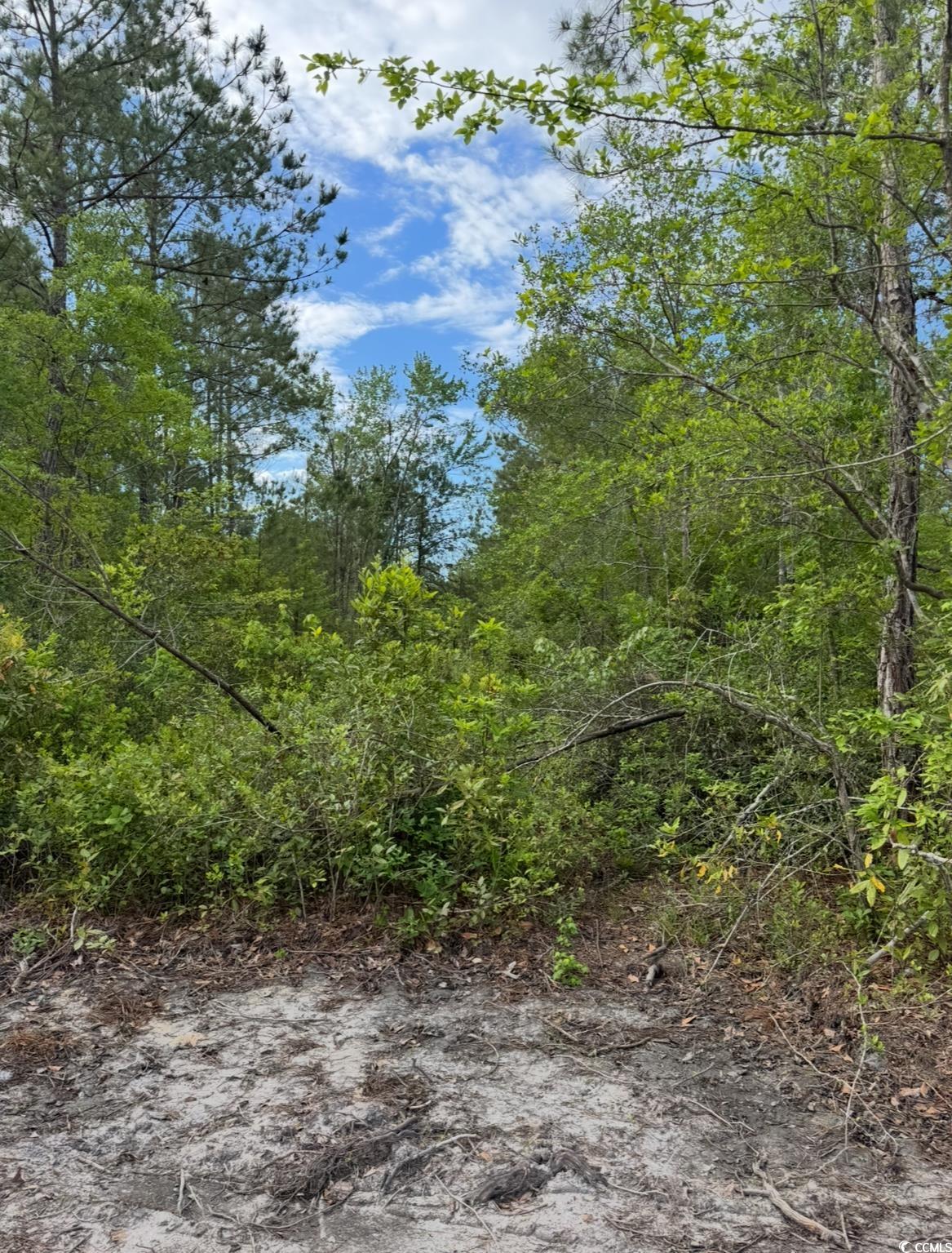 Tbd Fowler School Rd. Property Photo 2