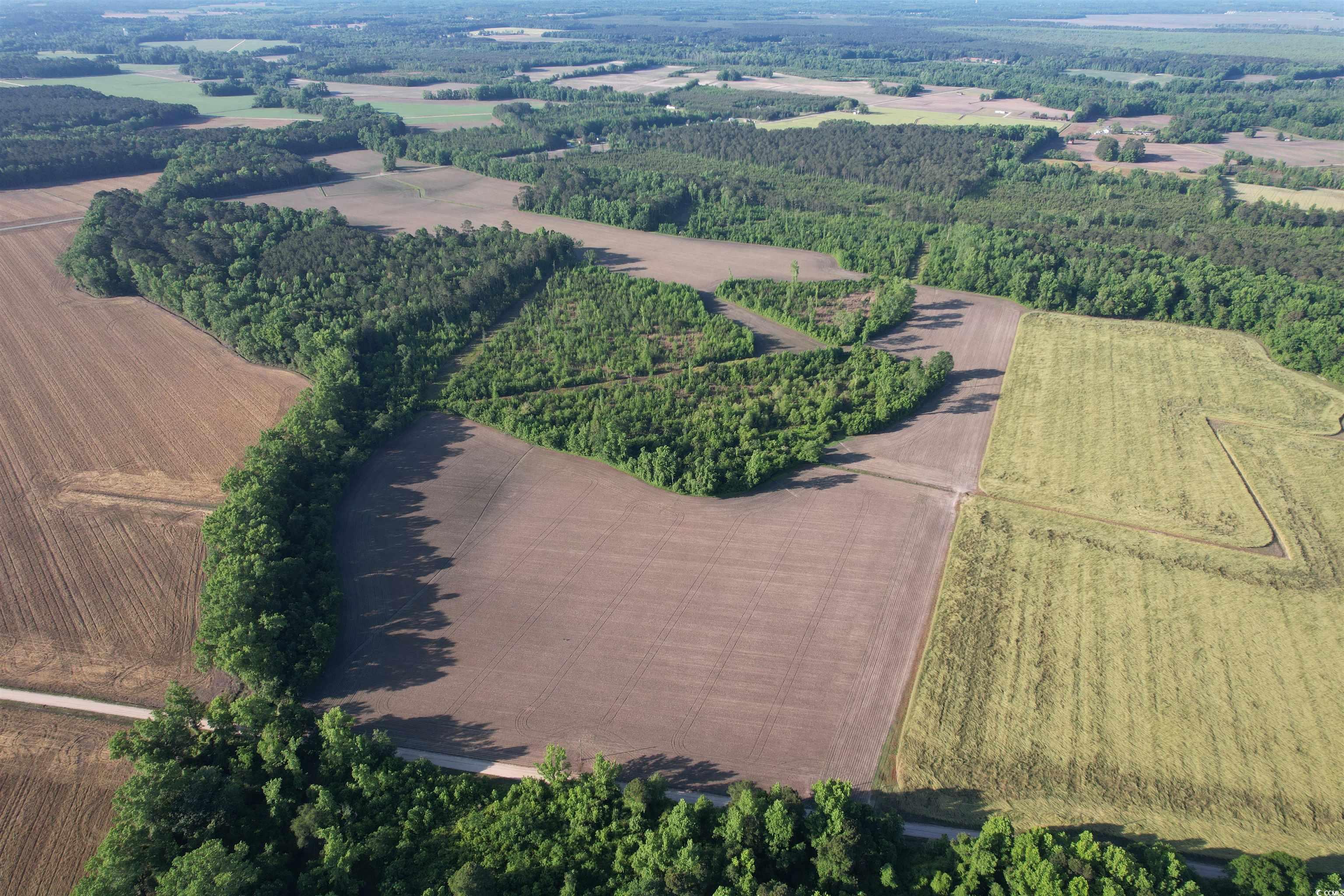 82.3 Acres - Tomlinson Rd. Property Photo