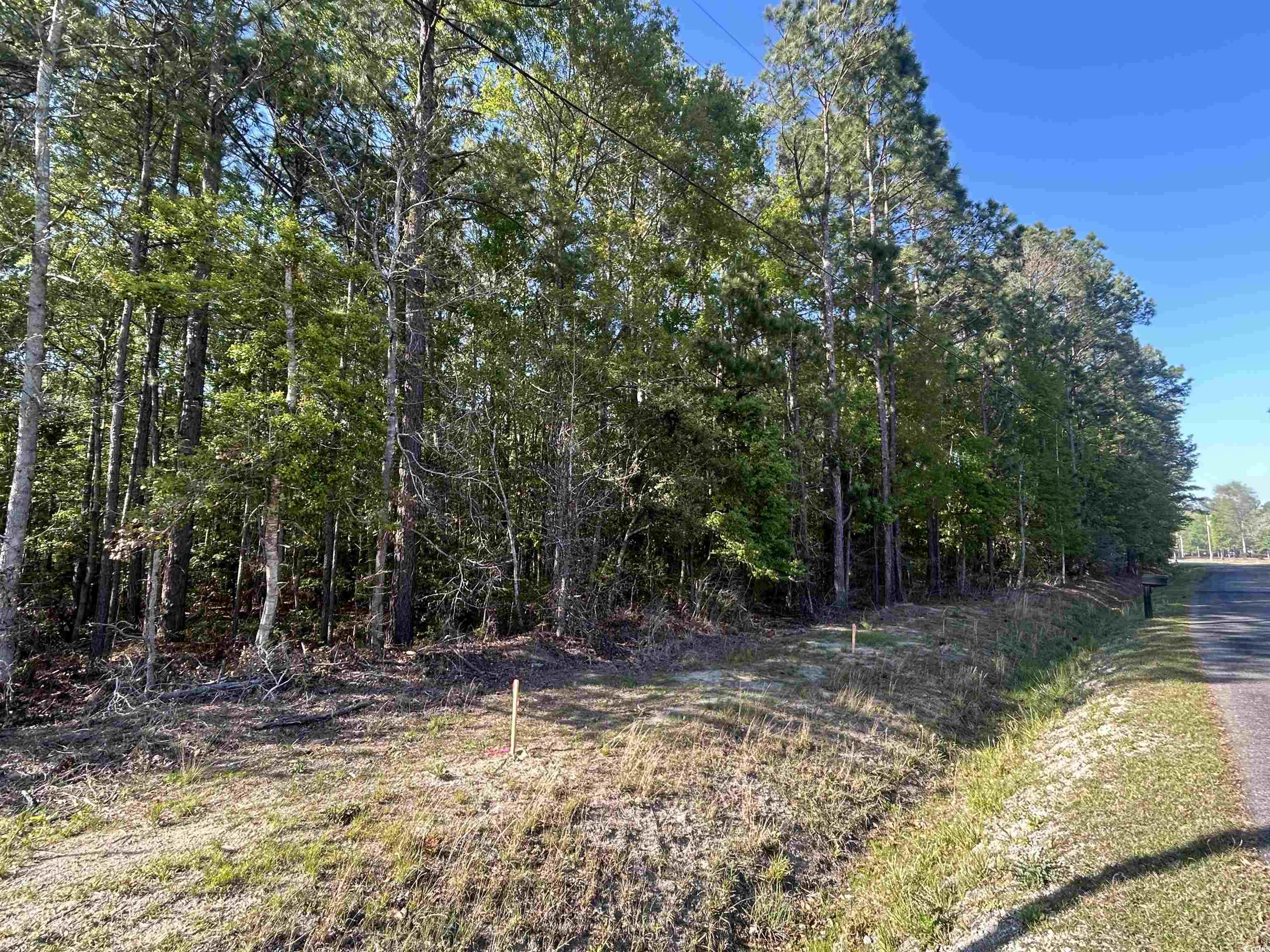 Tbd Buck Dr. Property Photo 1