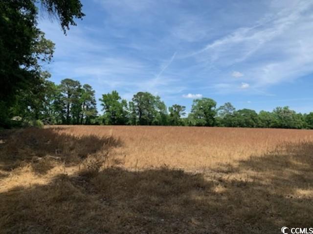 Tbd Near 1195 Cedar Grove Church Rd Property Photo