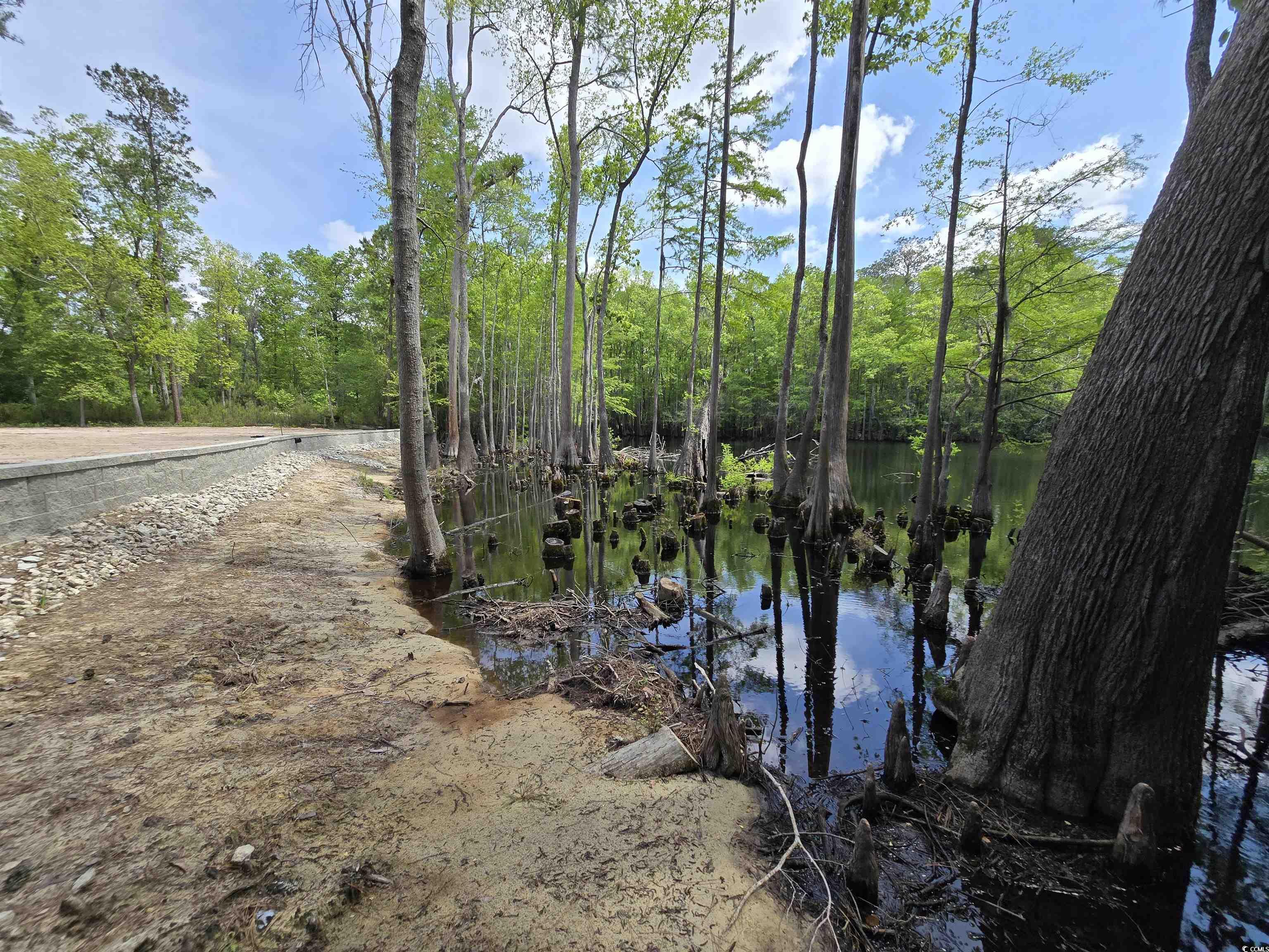 Lot 17 Rowe Pond Rd. Property Photo 11