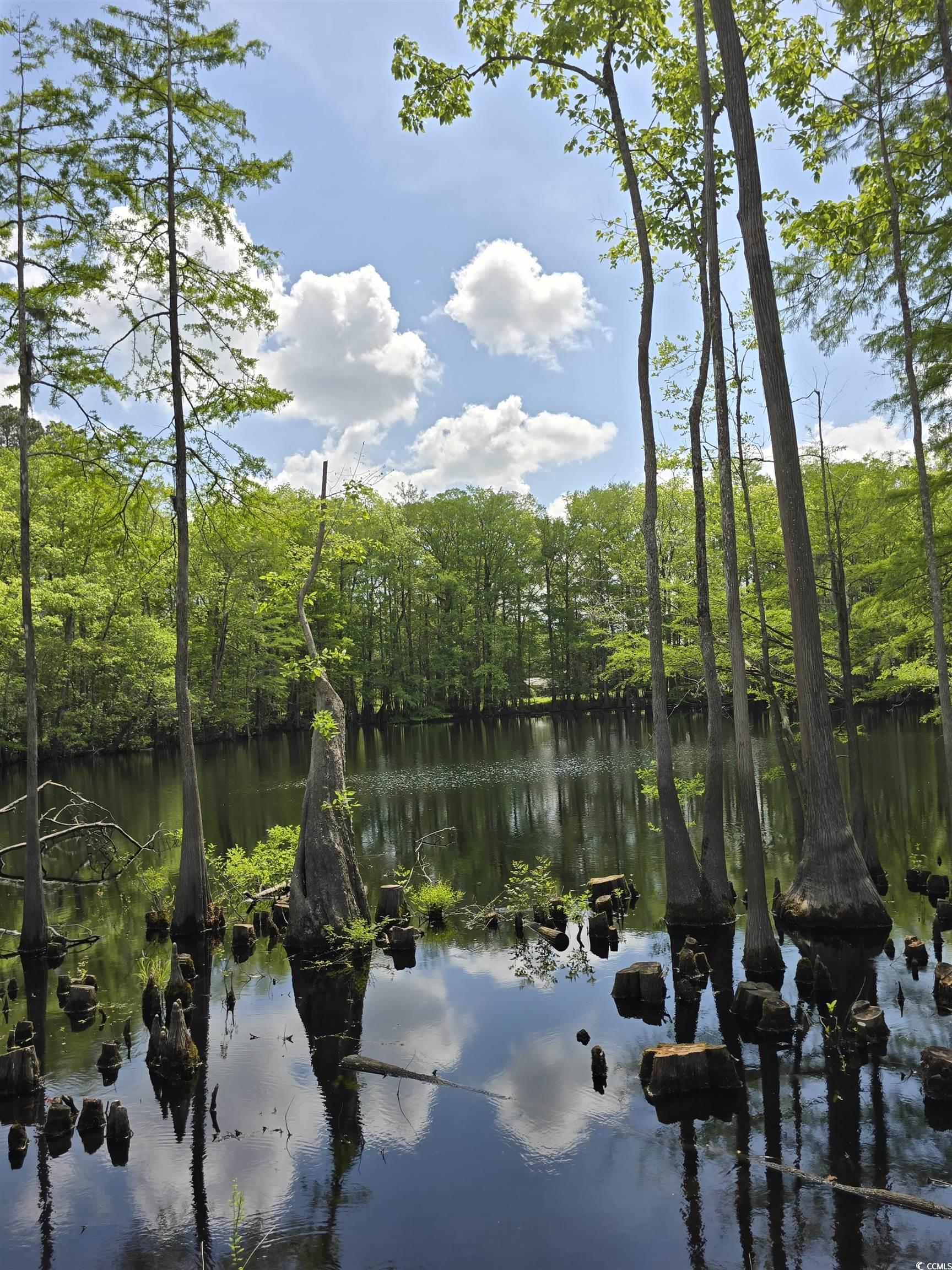 Lot 17 Rowe Pond Rd. Property Photo 14