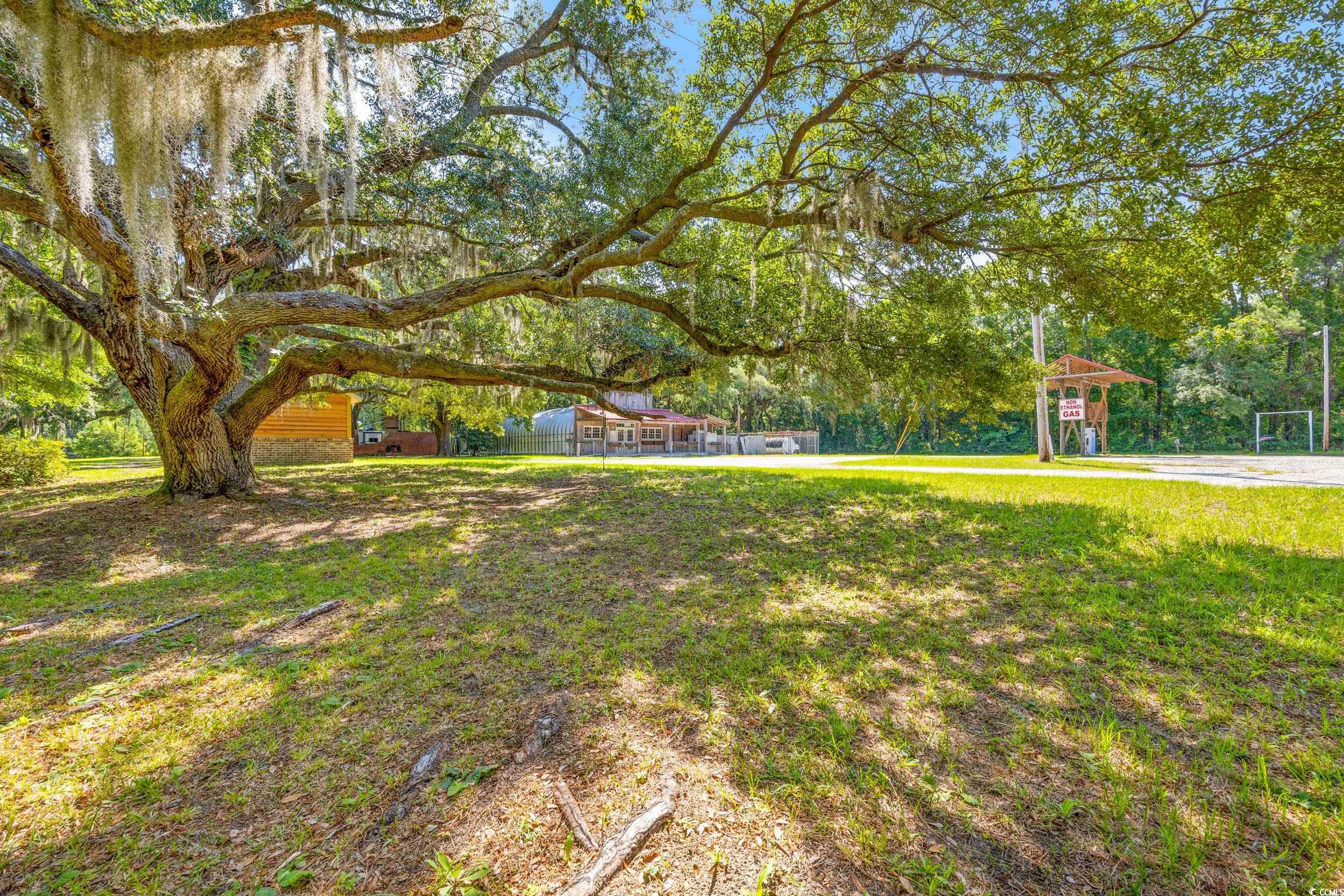 7113 South Island Rd. Property Photo 8