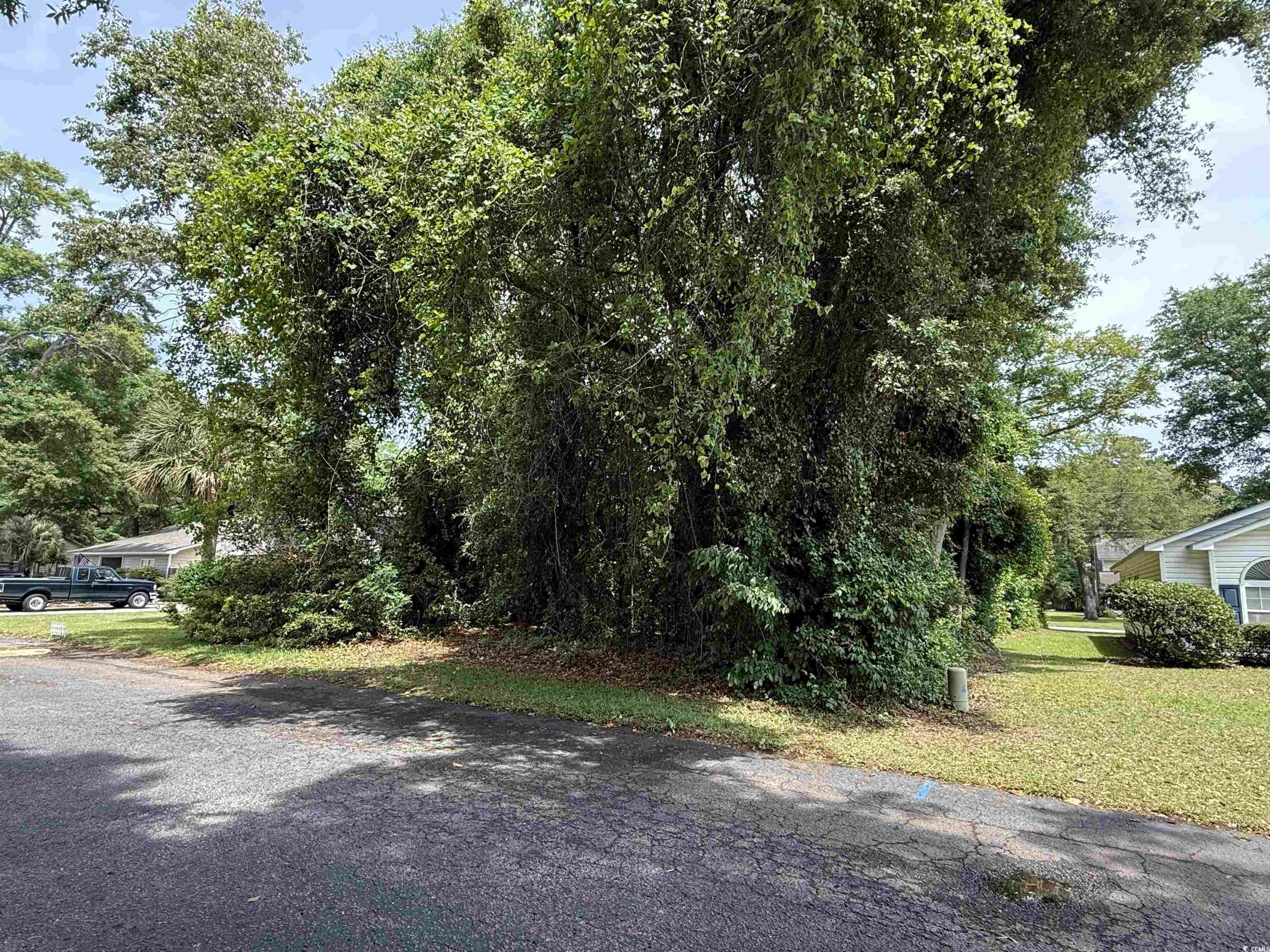 786 Planters Trace Loop Property Photo 2
