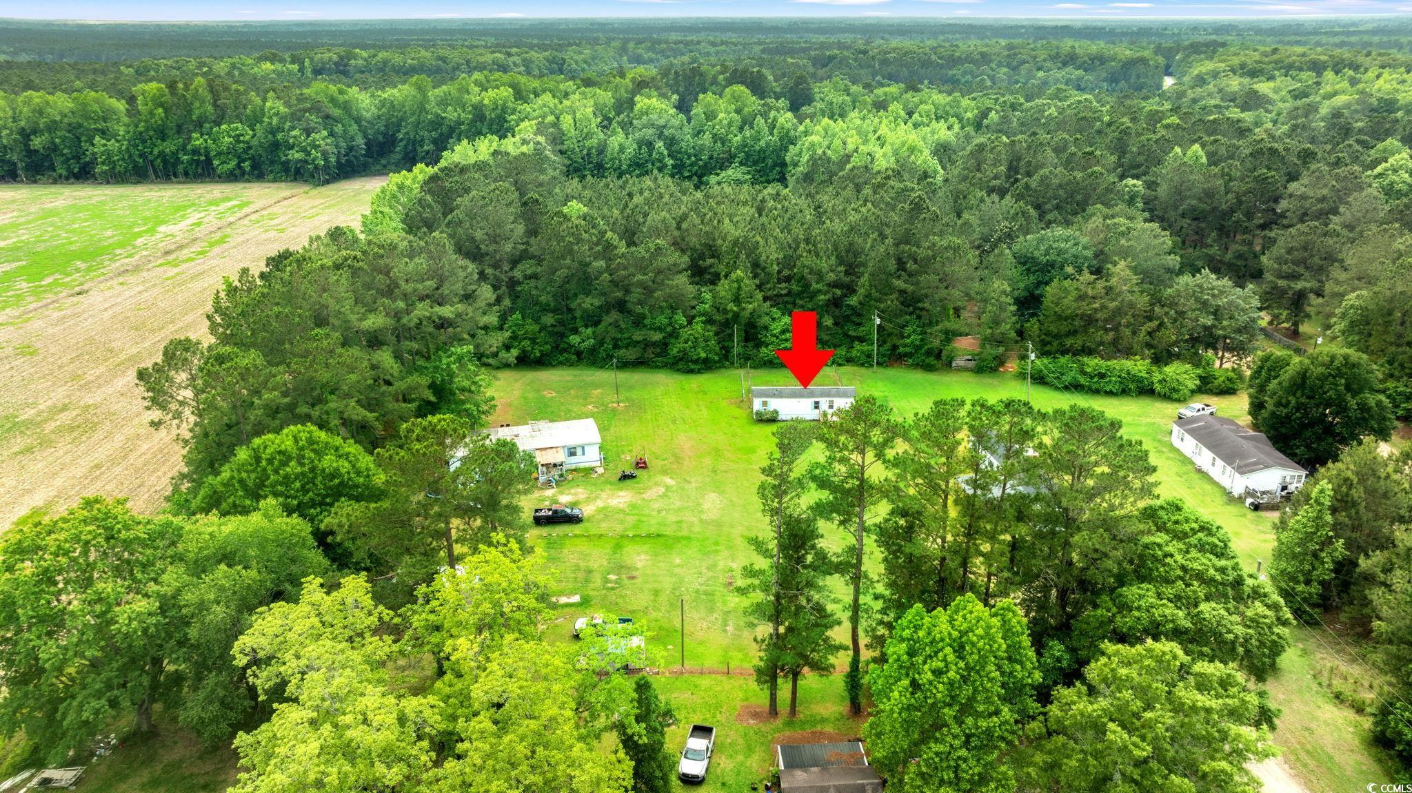 3796 Old Reaves Ferry Rd. Property Photo 35