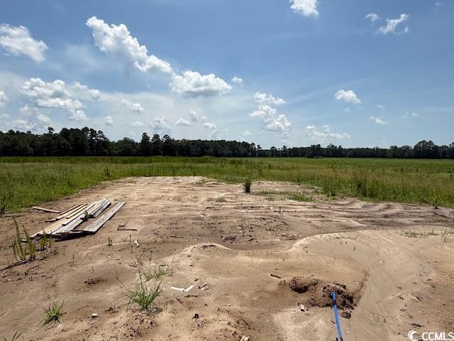 6692 Joyner Swamp Rd. Property Photo 13