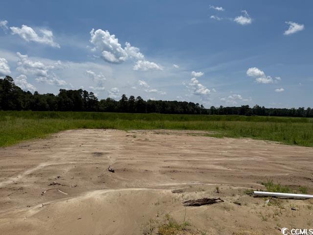 6696 Joyner Swamp Rd. Property Photo 14