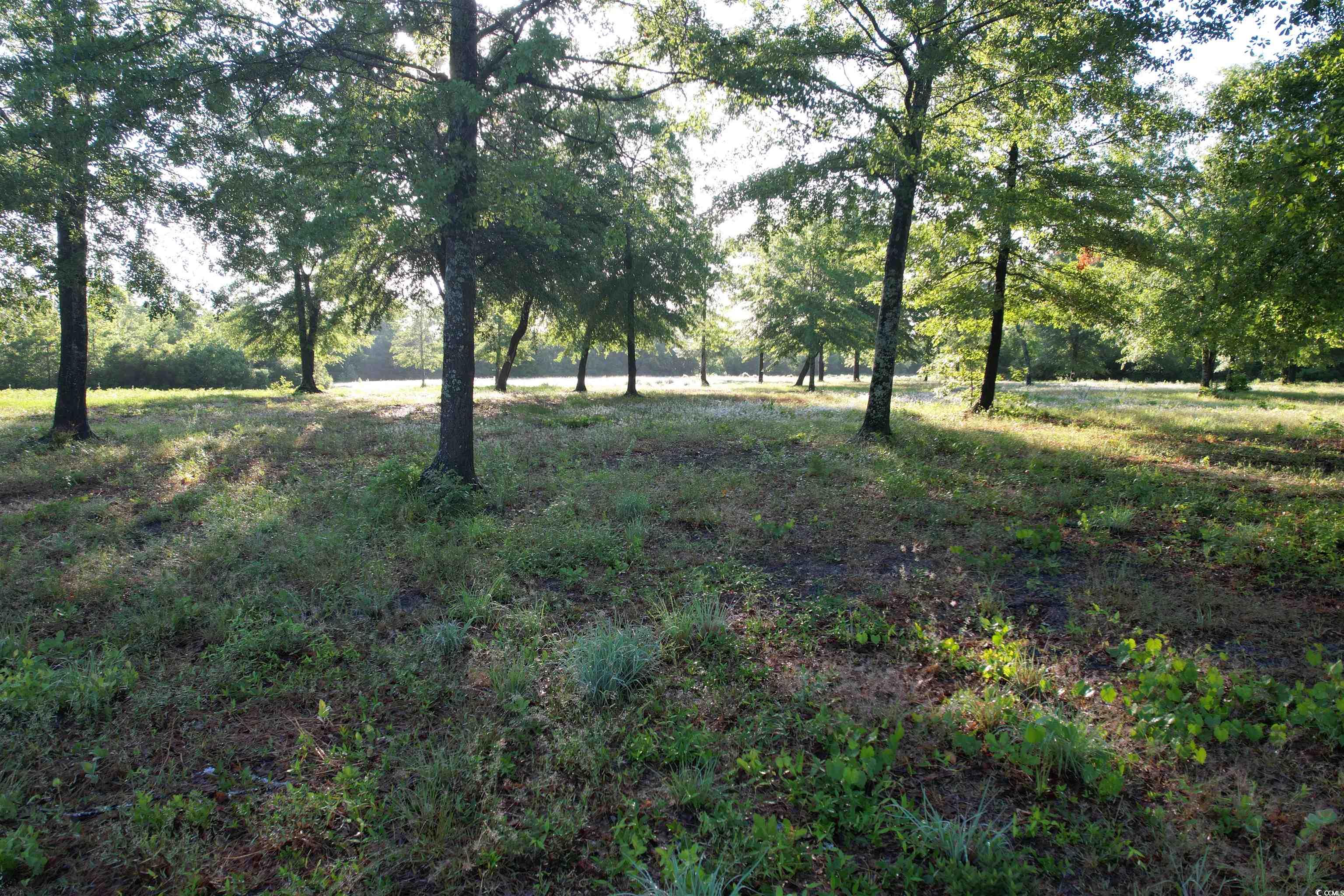 10 Acres - Tbd Cohen Dr. Property Photo