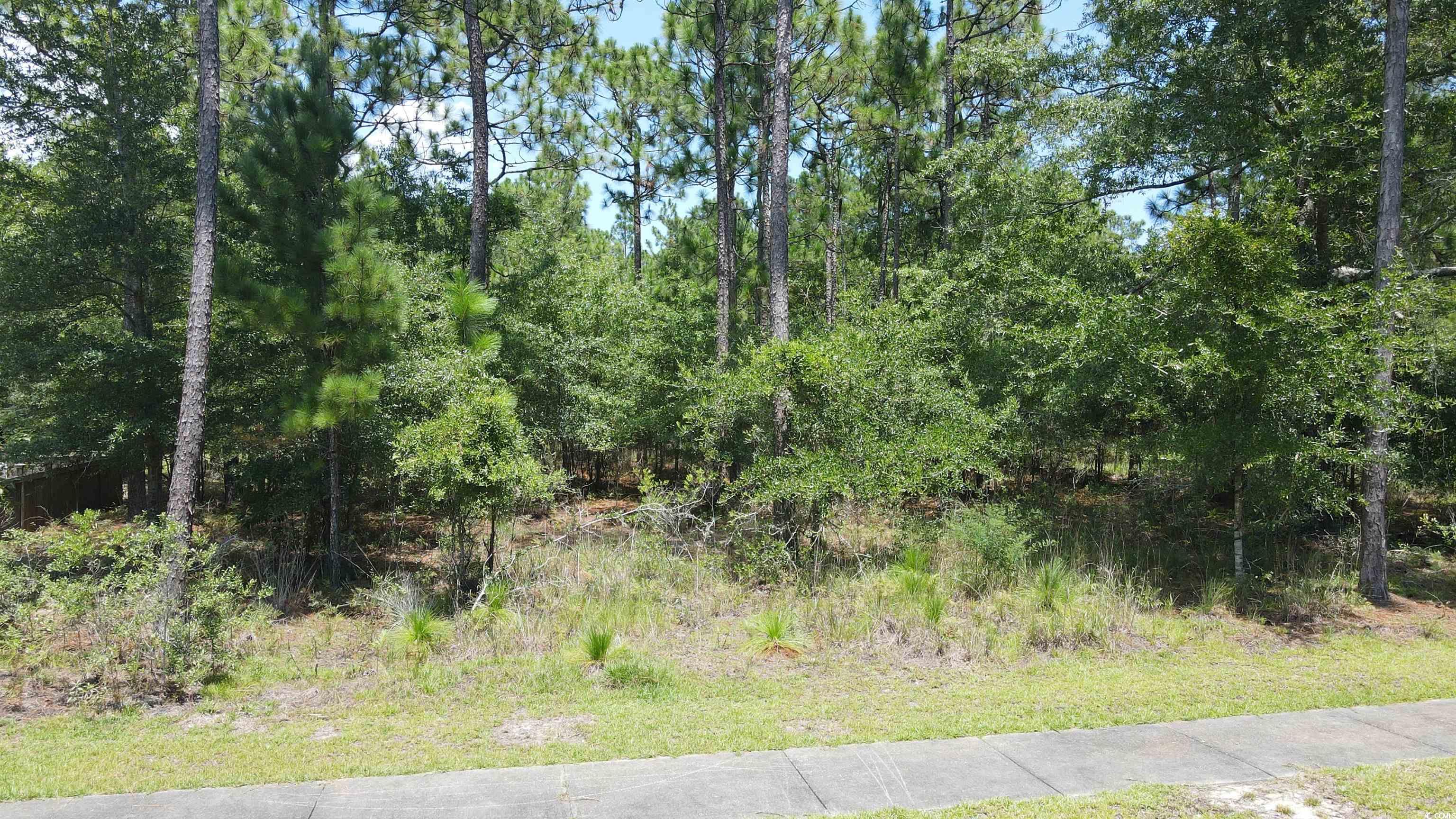 Tbd Bridge View Rd. Property Photo 6