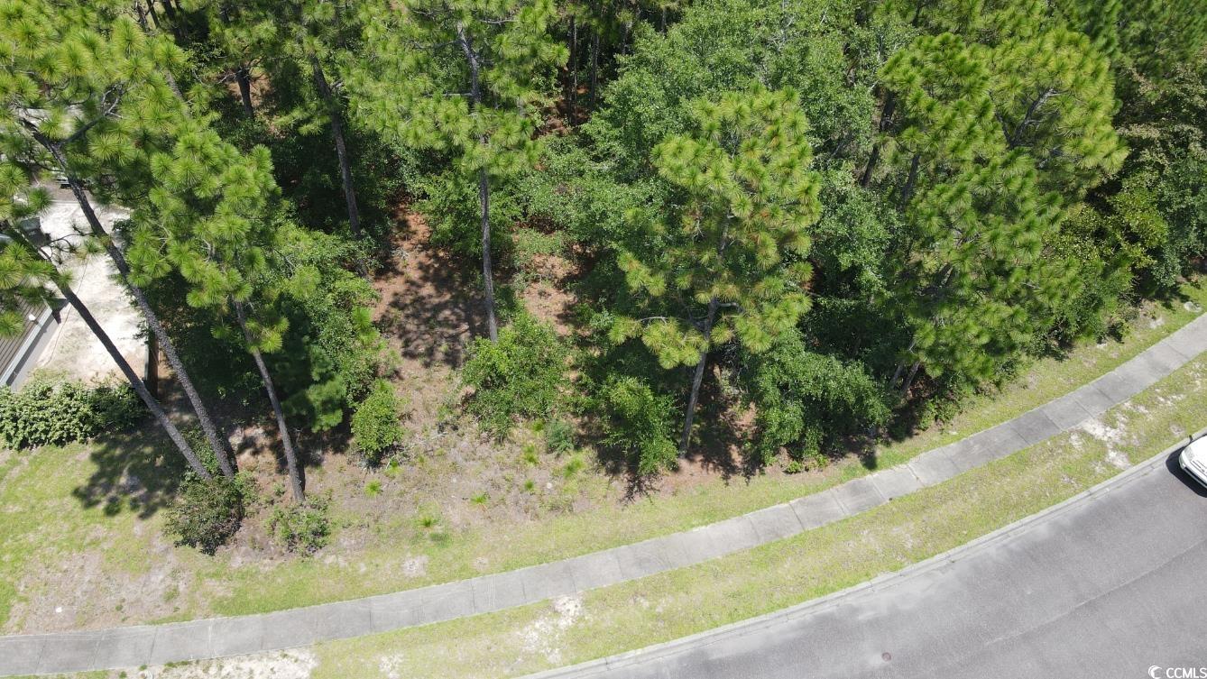 Tbd Bridge View Rd. Property Photo 8