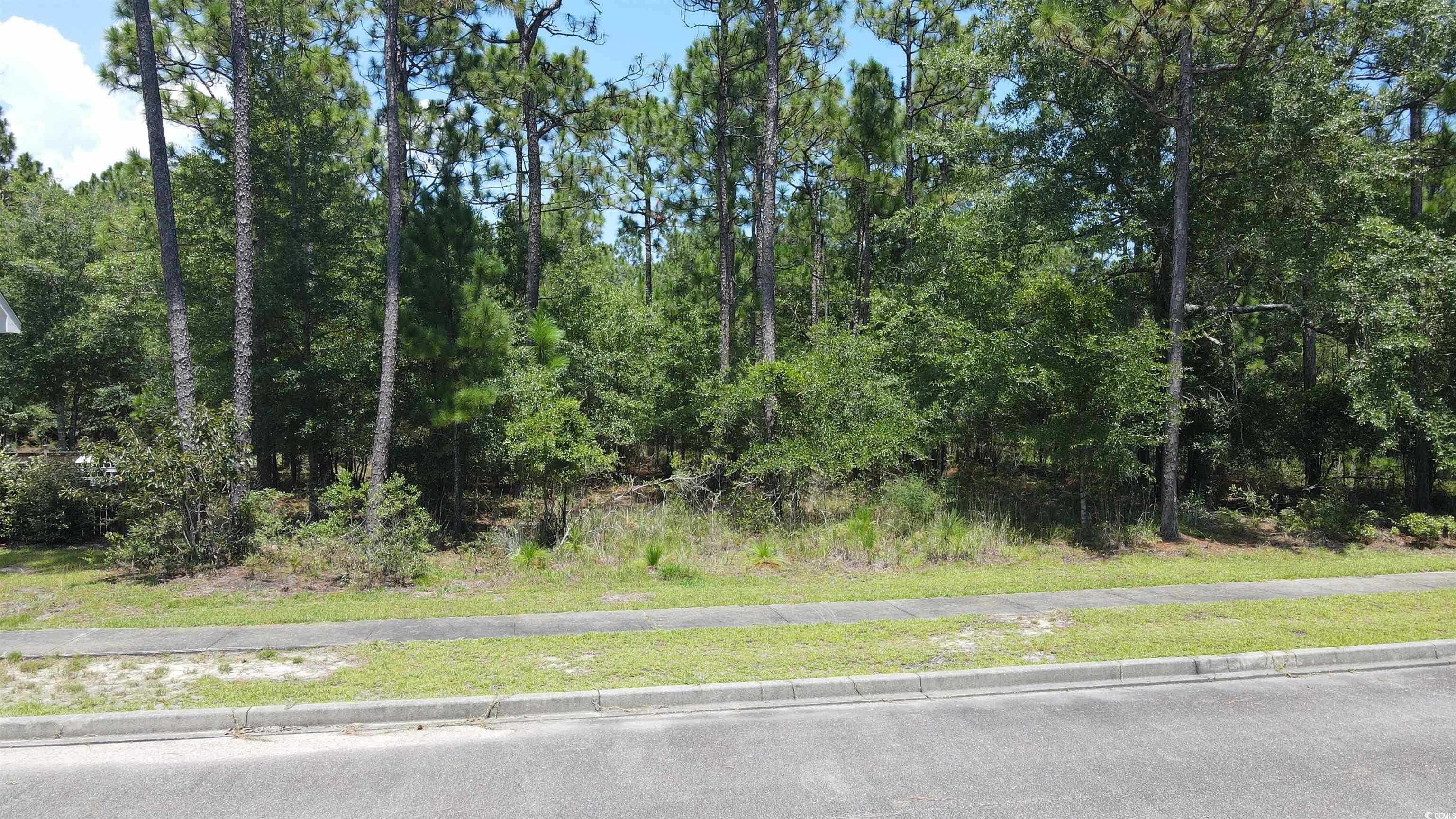 Tbd Bridge View Rd. Property Photo 9