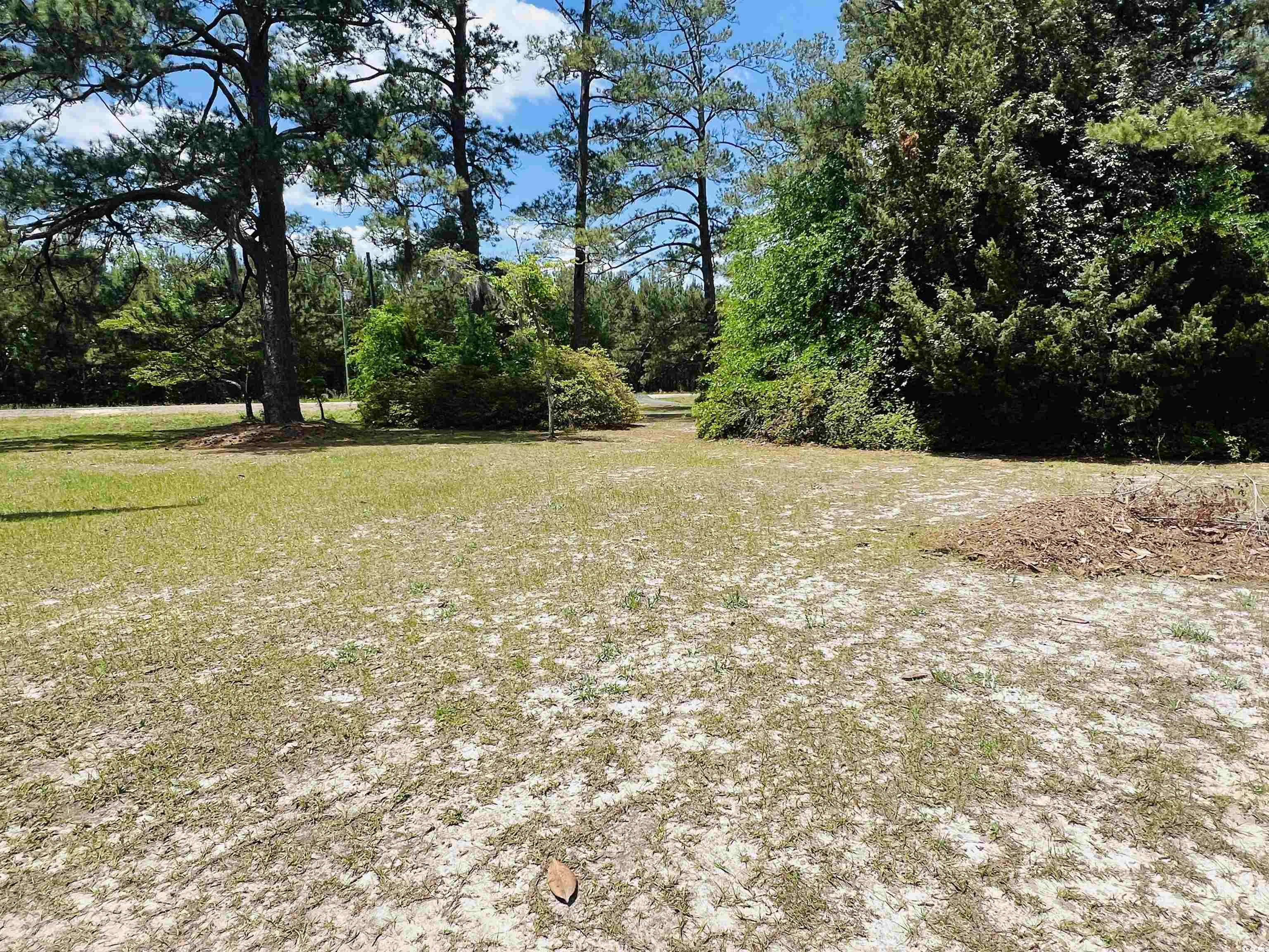 2573 Martin Luther King Hwy. Property Photo 23