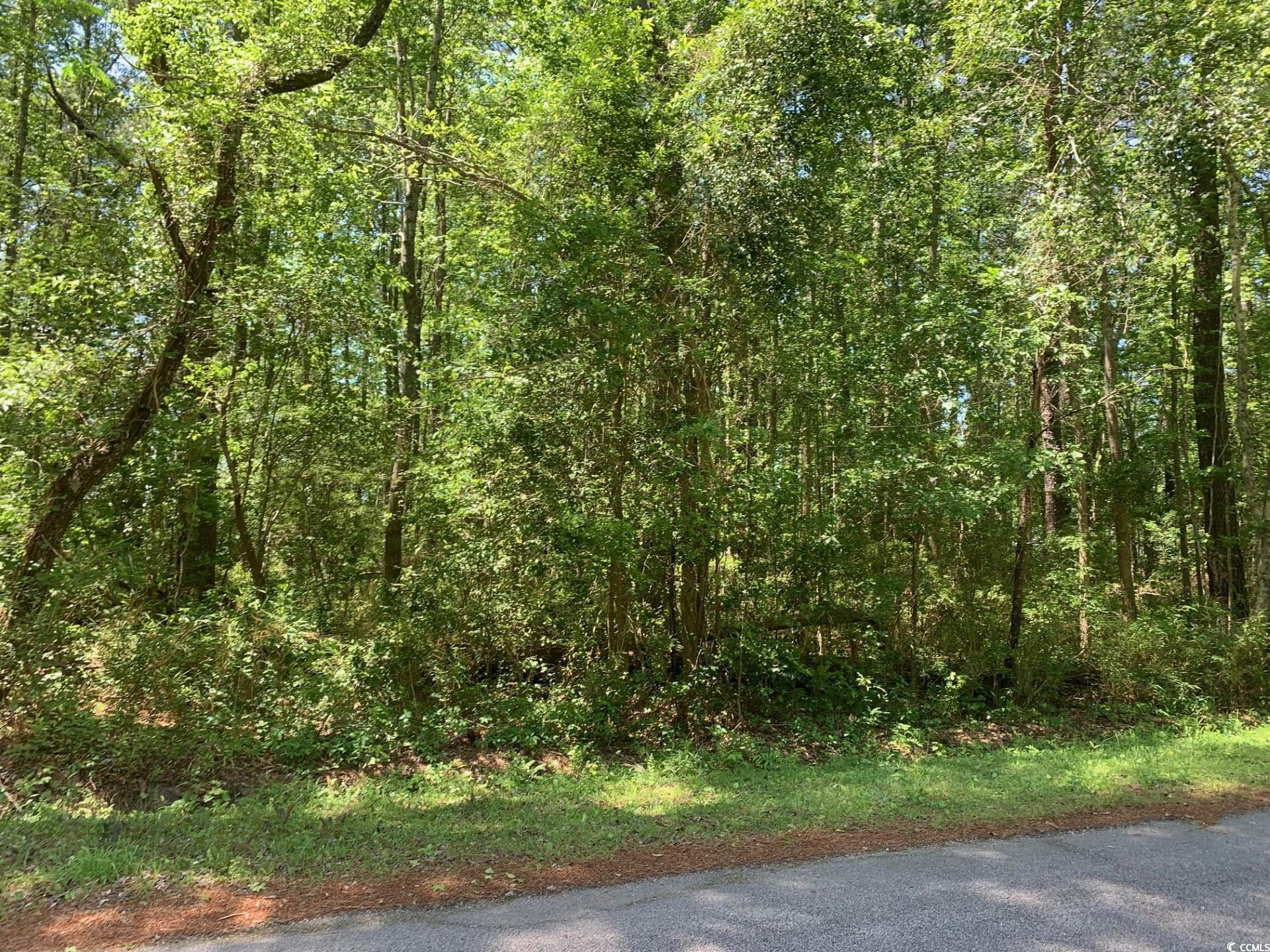 Lot 8 N Morgan Ave. Property Photo