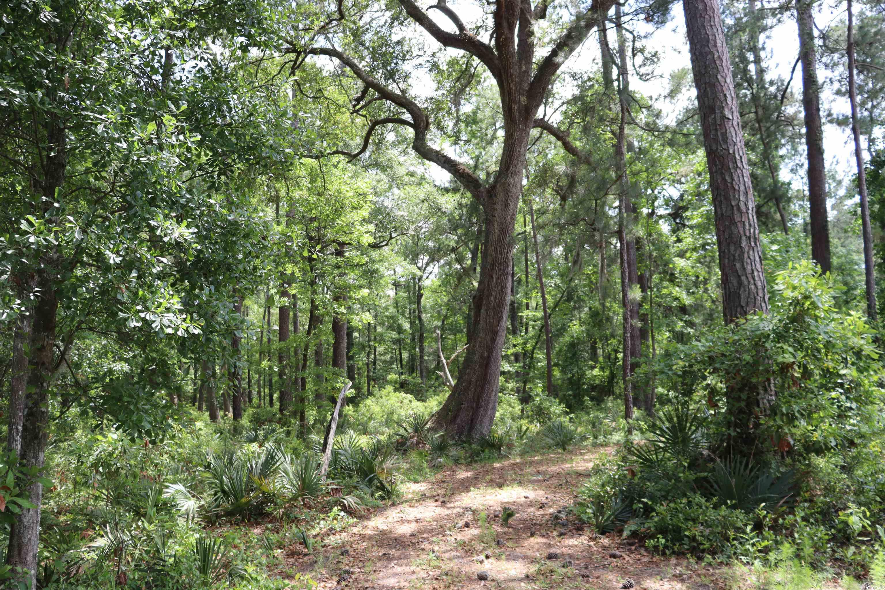 1030 Lantana Circle Property Photo 1