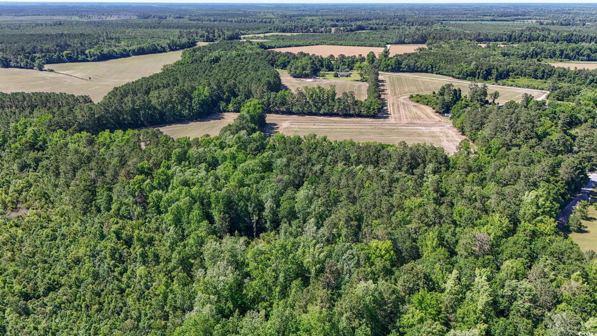Tbd Francis Gibson Rd. Property Photo 7